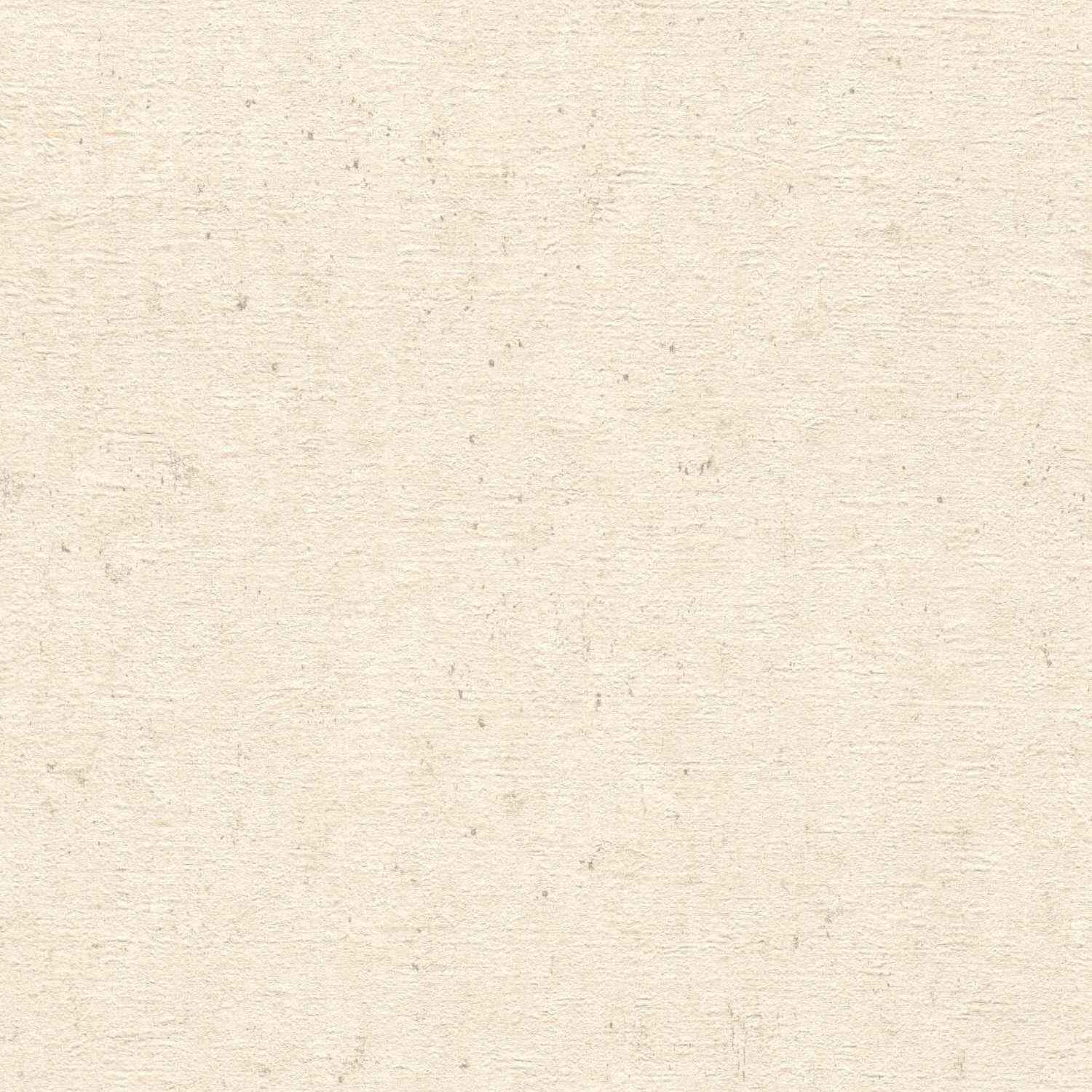 Rasch Calcestruzzo 520835 Carta da parati in tessuto non tessuto Tinta unita 0,53 x 10,05 m Beige