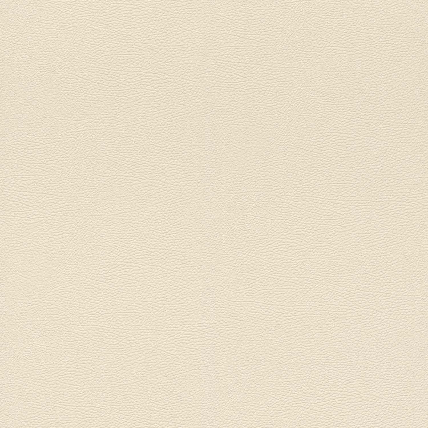Rasch African Queen III 752625 Carta da parati in tessuto non tessuto Tinta unita 0,53 x 10,05 m Beige