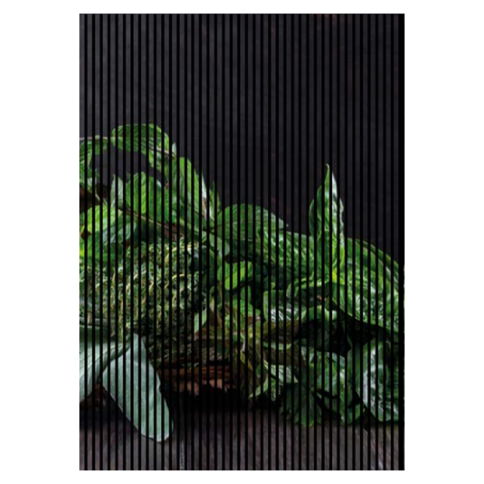 Pannelli acustici con stampa digitale di erbe aromatiche, tavolo in legno, pannelli murali in verde, marrone e nero, disponibili in varie dimensioni.