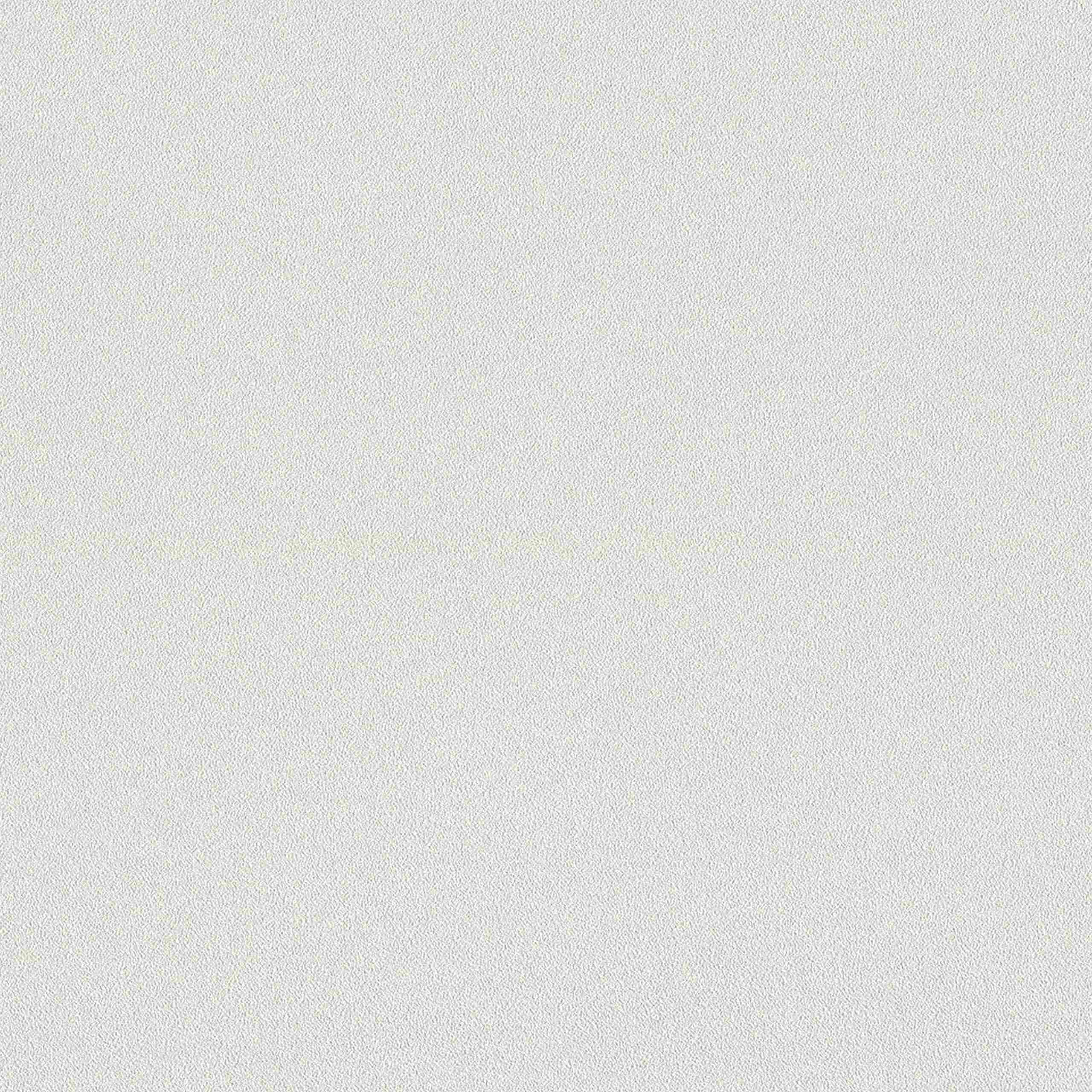 Rasch Wall Textures Vol. IV 479423 Carta da parati in tessuto non tessuto Tinta unita 0,53 x 10,05 m Beige