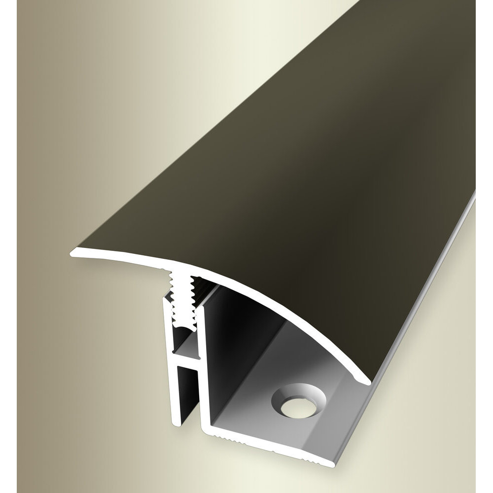 Profilo di transizione PROVISTON, larghezza 39 mm, altezza bordo 17 - 22 mm, striscia di transizione