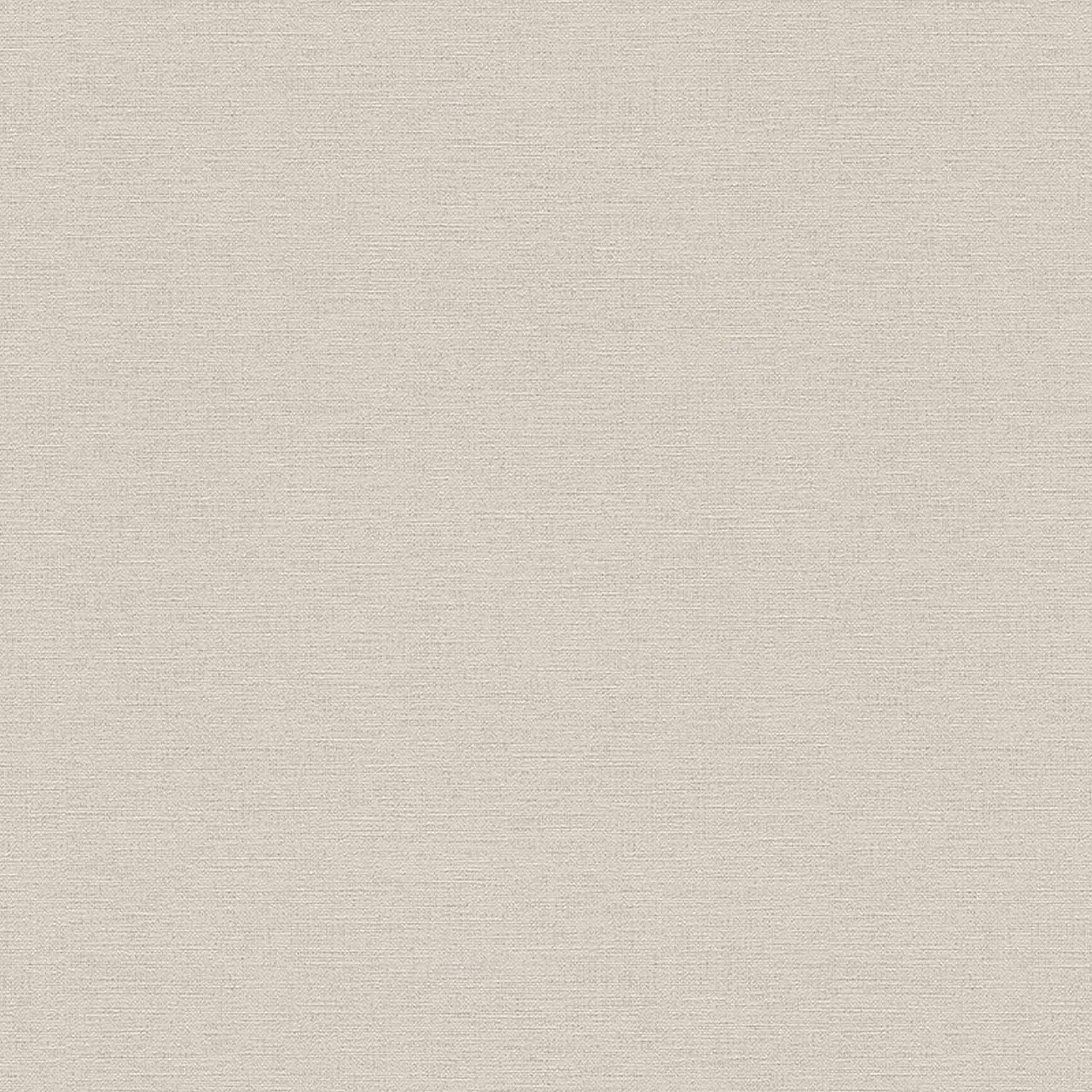 A.S. Creation Bjorn 306886 Carta da parati in tessuto non tessuto Tinta unita University 0,53 x 10,05 m Marrone