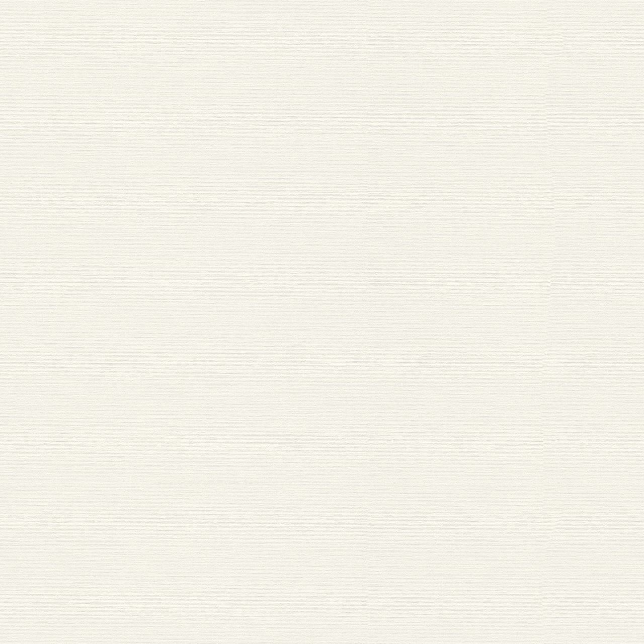 A.S. Creation | Trendwall 2 | Weiß | 306891