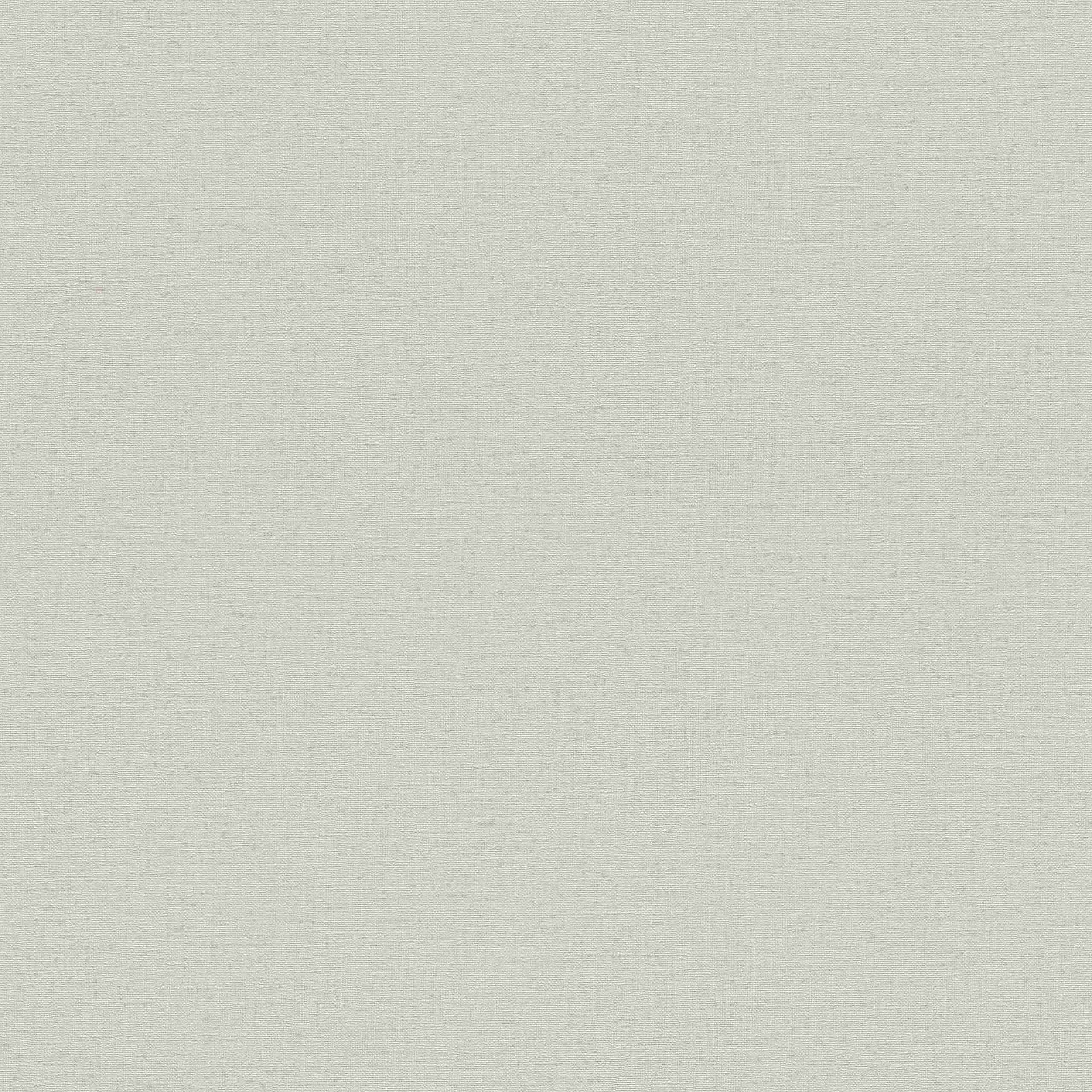 Rasch Wall Textures Vol. IV 452013 Carta da parati in tessuto non tessuto Tinta unita 0,53 x 10,05 m Grigio