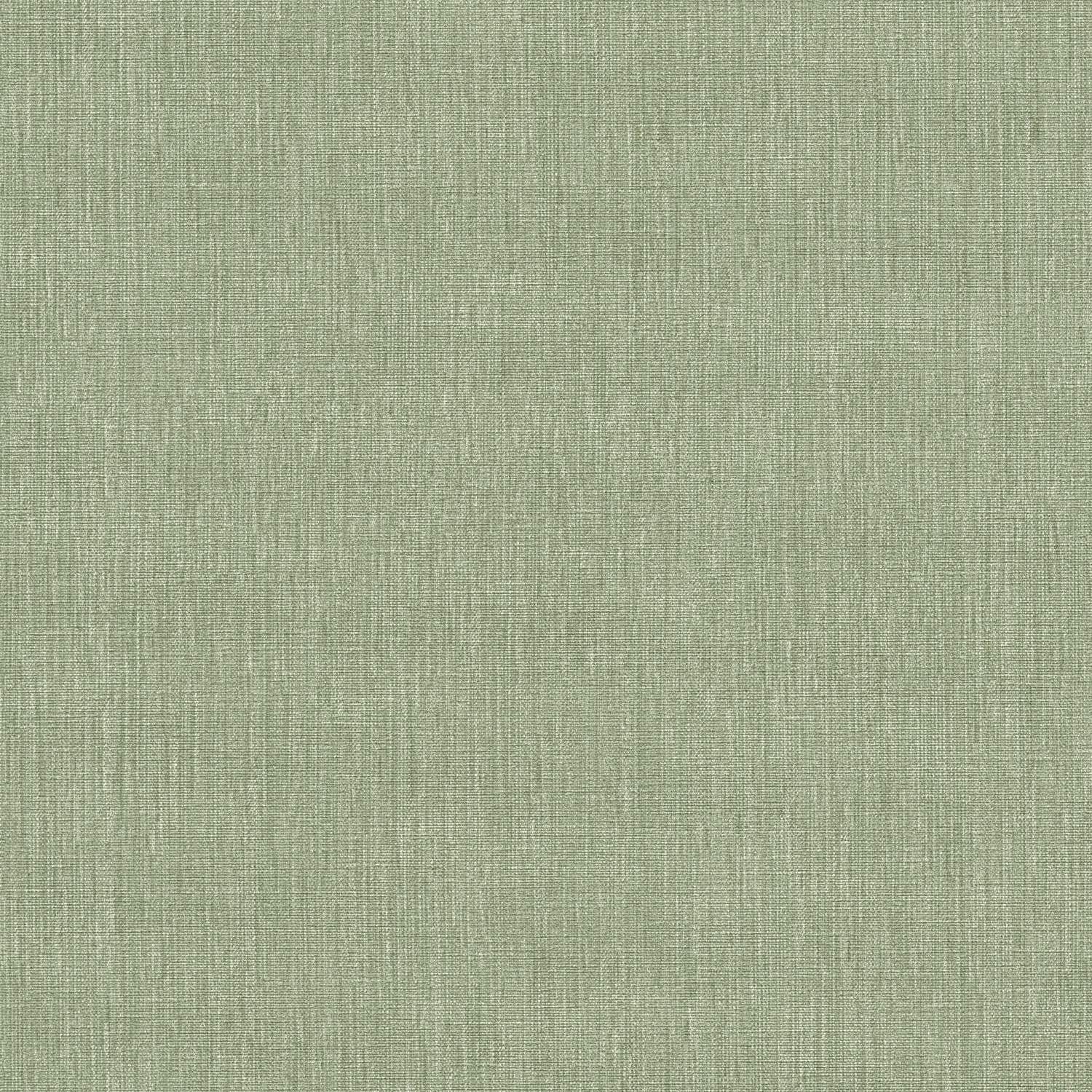 A.S. Creation Stories of Life 396521 Carta da parati in tessuto non tessuto Tinta unita University 0,53 x 10,05 m Verde