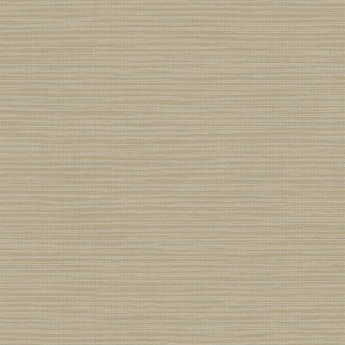 York Wallcoverings Dazzling Dimensions Vol II Y6200906 Carta da parati in tessuto non tessuto University 0,53 x 10,05 m