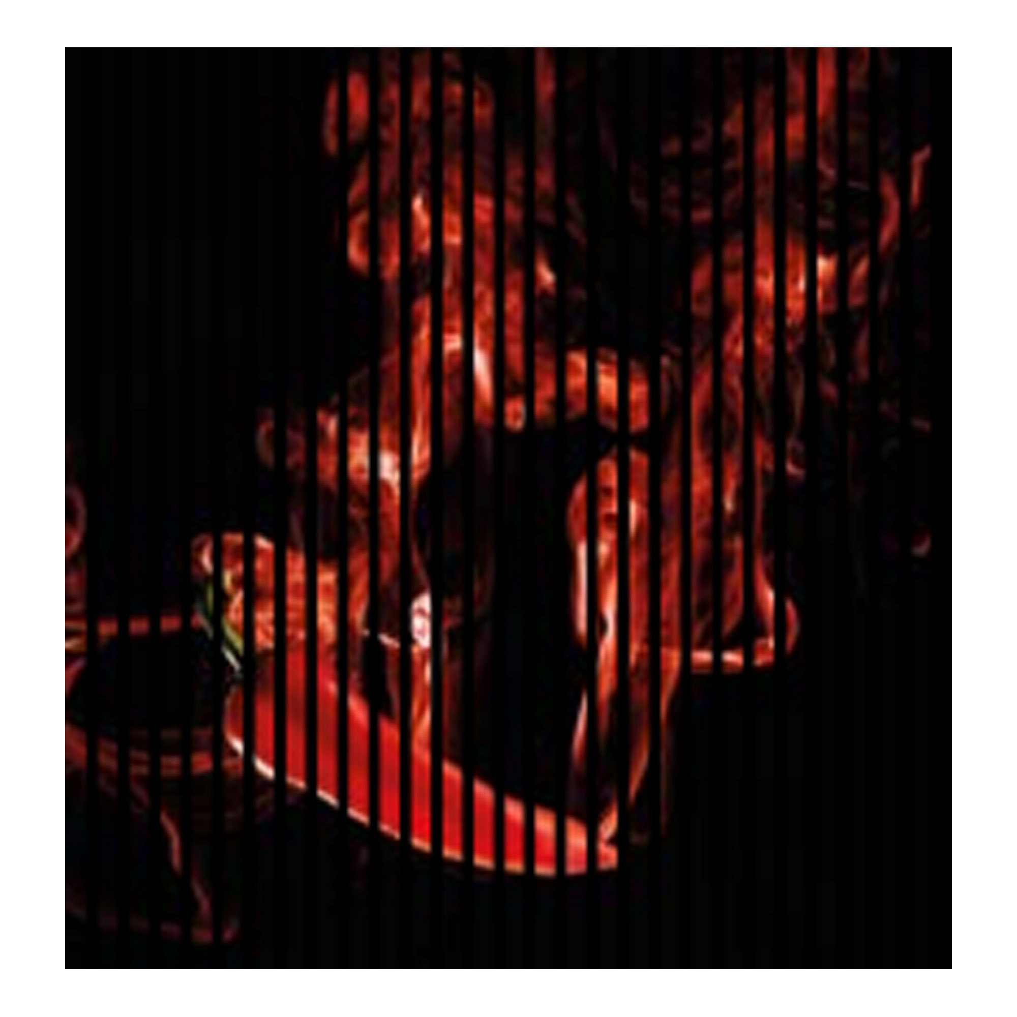 Pannelli acustici con stampa digitale, pannelli da parete Fire Chilli, rossi e neri, in varie dimensioni.