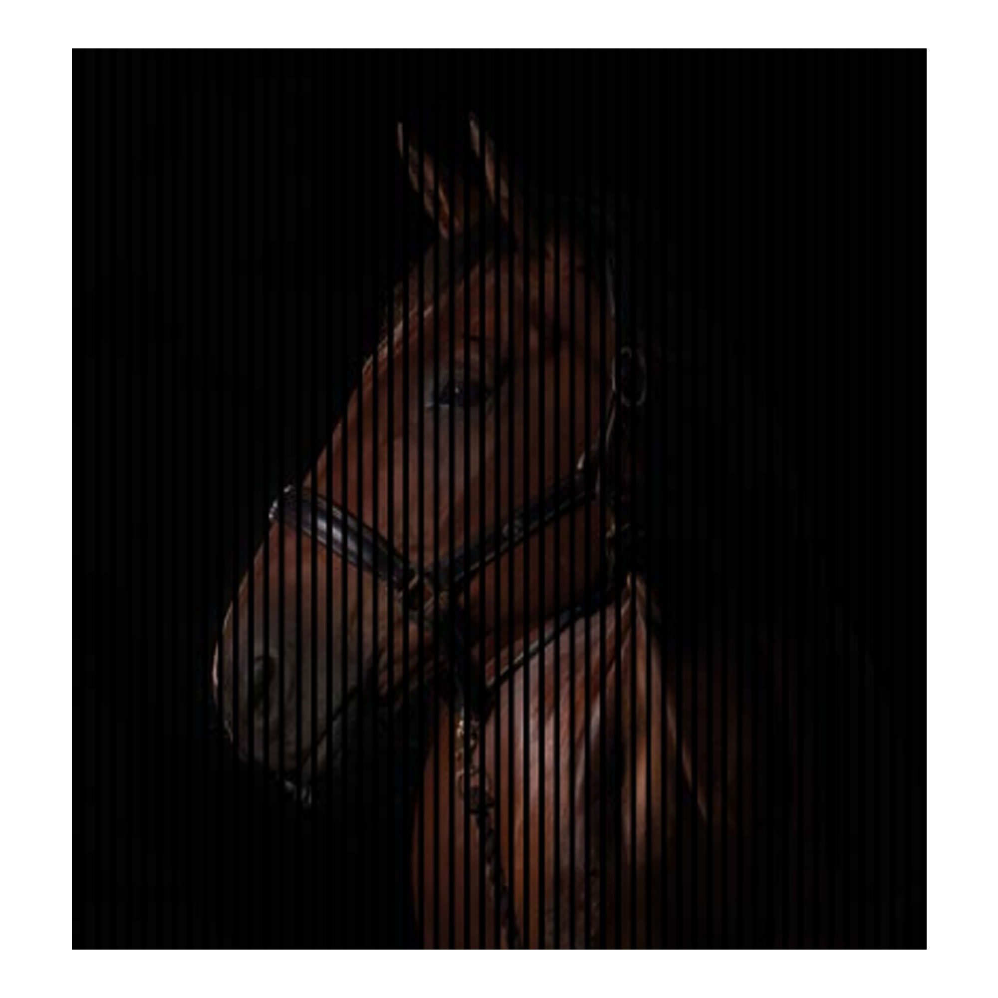 Pannelli acustici con stampa digitale di un cavallo, pannelli da parete in nero e marrone, disponibili in varie dimensioni.