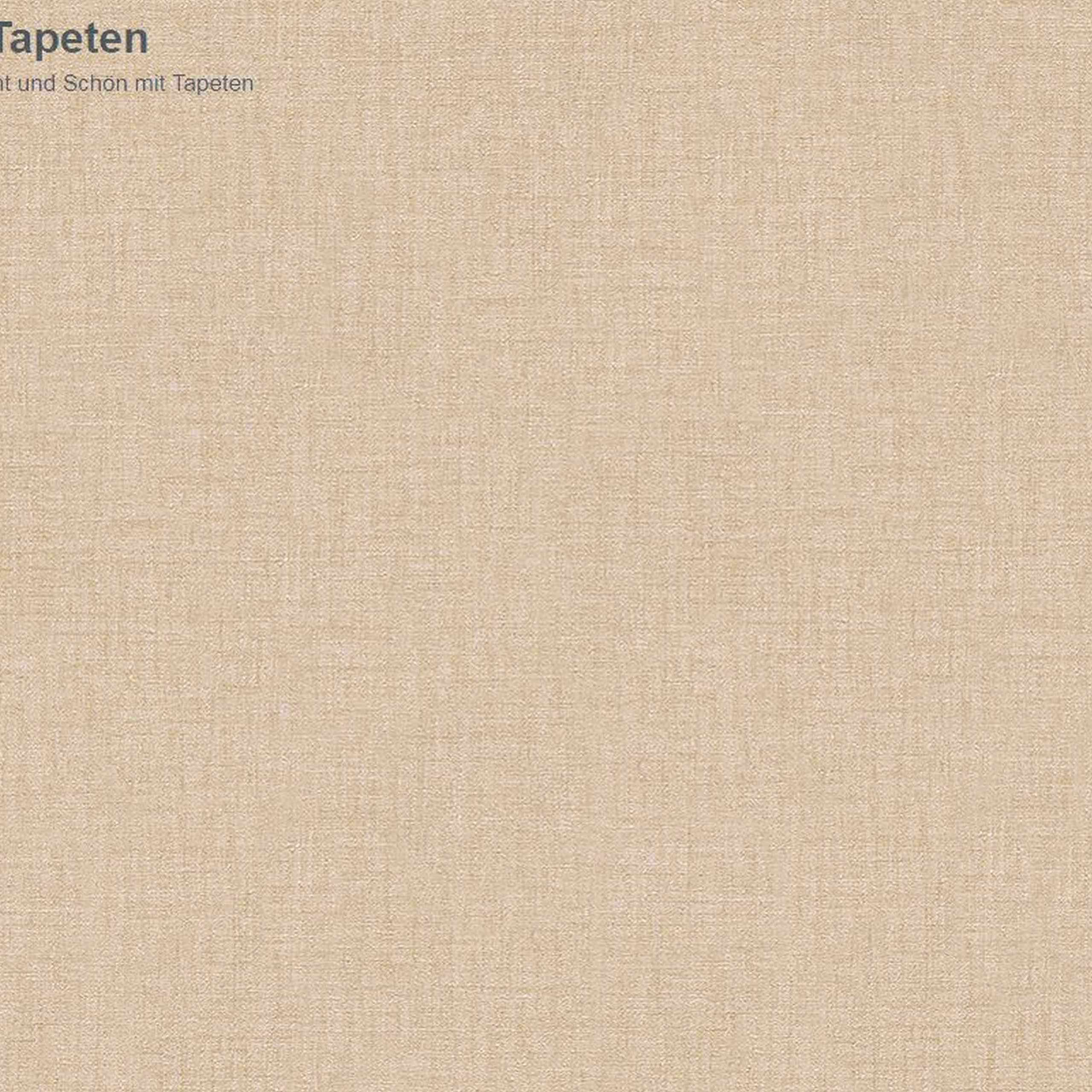 A.S. Creation Versace Home 2 962332 Carta da parati in tessuto non tessuto Tinta unita 0,7 x 10,05 m Beige