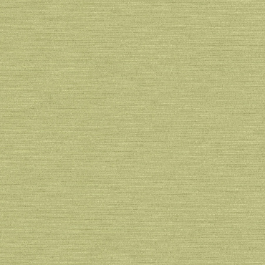 A.S. Creation Antigua 390974 Carta da parati in tessuto non tessuto Tinta unita 10,05 x 0,53 m Verde