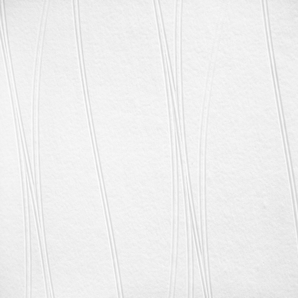 A.S. Creation Meistervlies 244918 Carta da parati in tessuto non tessuto verniciabile Onde 0,53 x 10,05 m Bianco