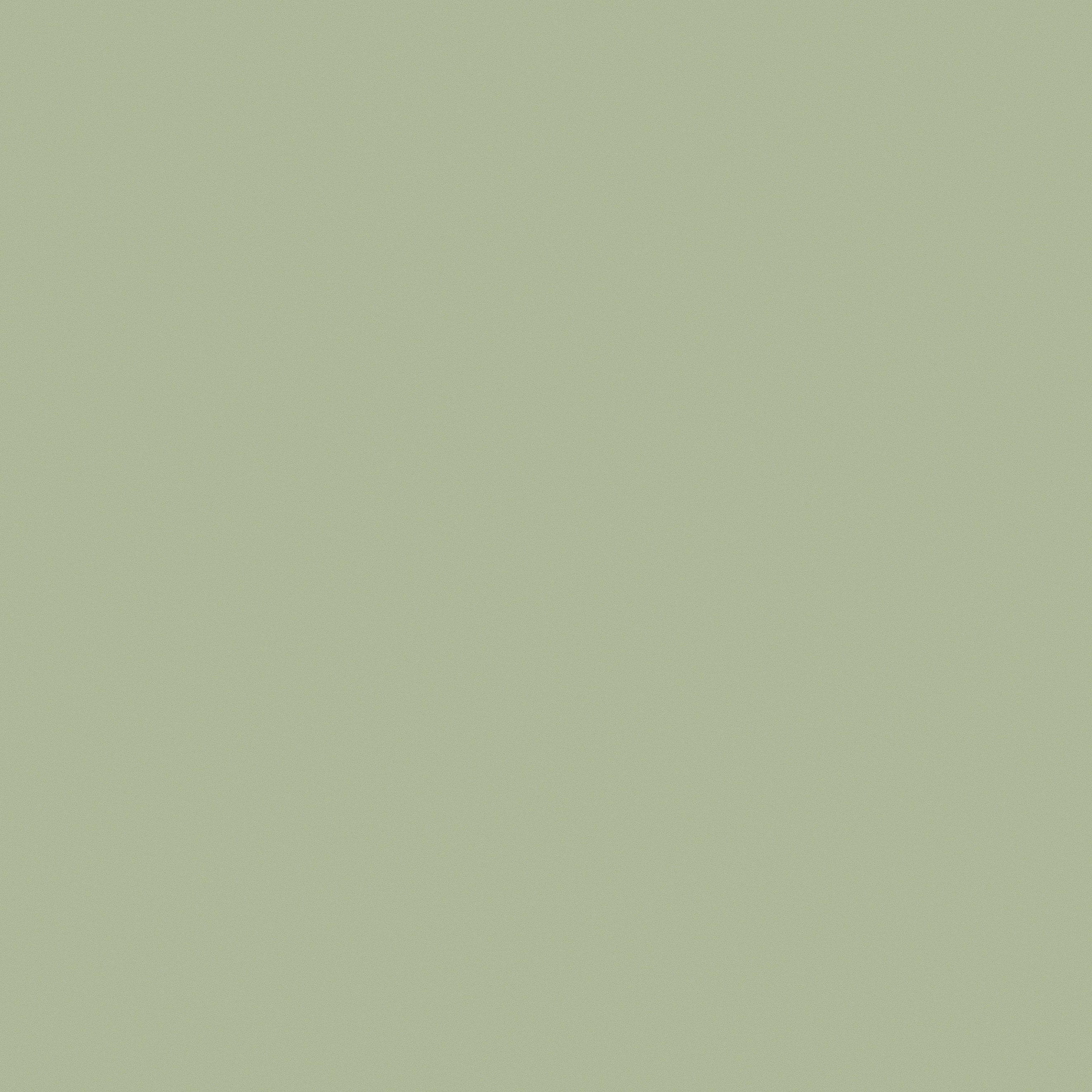 A.S. Creation New Life 376804 Carta da parati in tessuto non tessuto Tinta unita University 0,53 x 10,05 m Verde