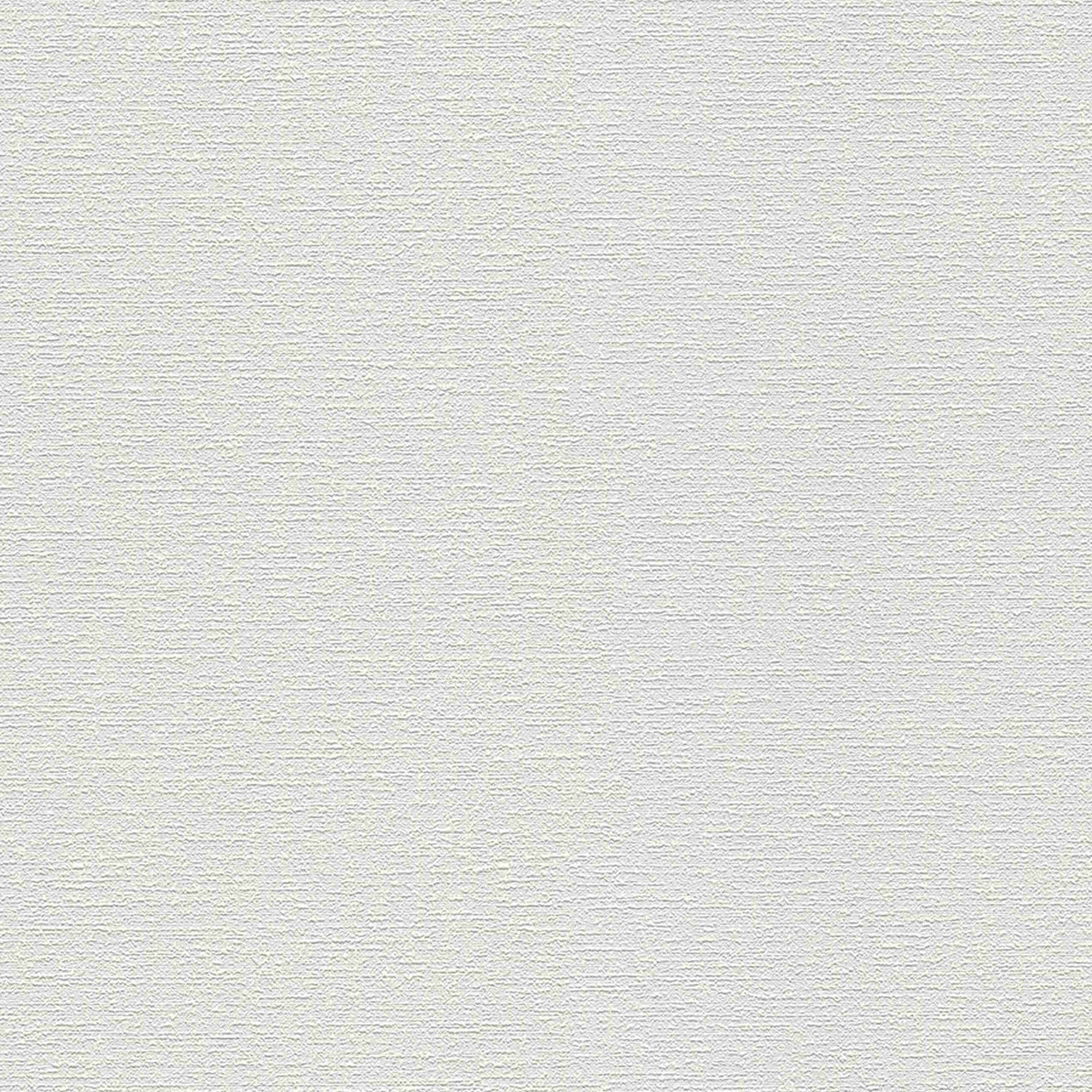 Carta da parati non tessuta 103918 Plaster White Master Fleece A.S. Creation