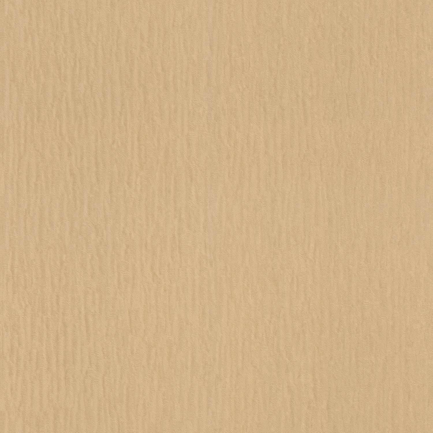 Rasch Trianon XIII 570076 Carta da parati in tessuto non tessuto Tinta unita 0,53 x 10,05 m Oro