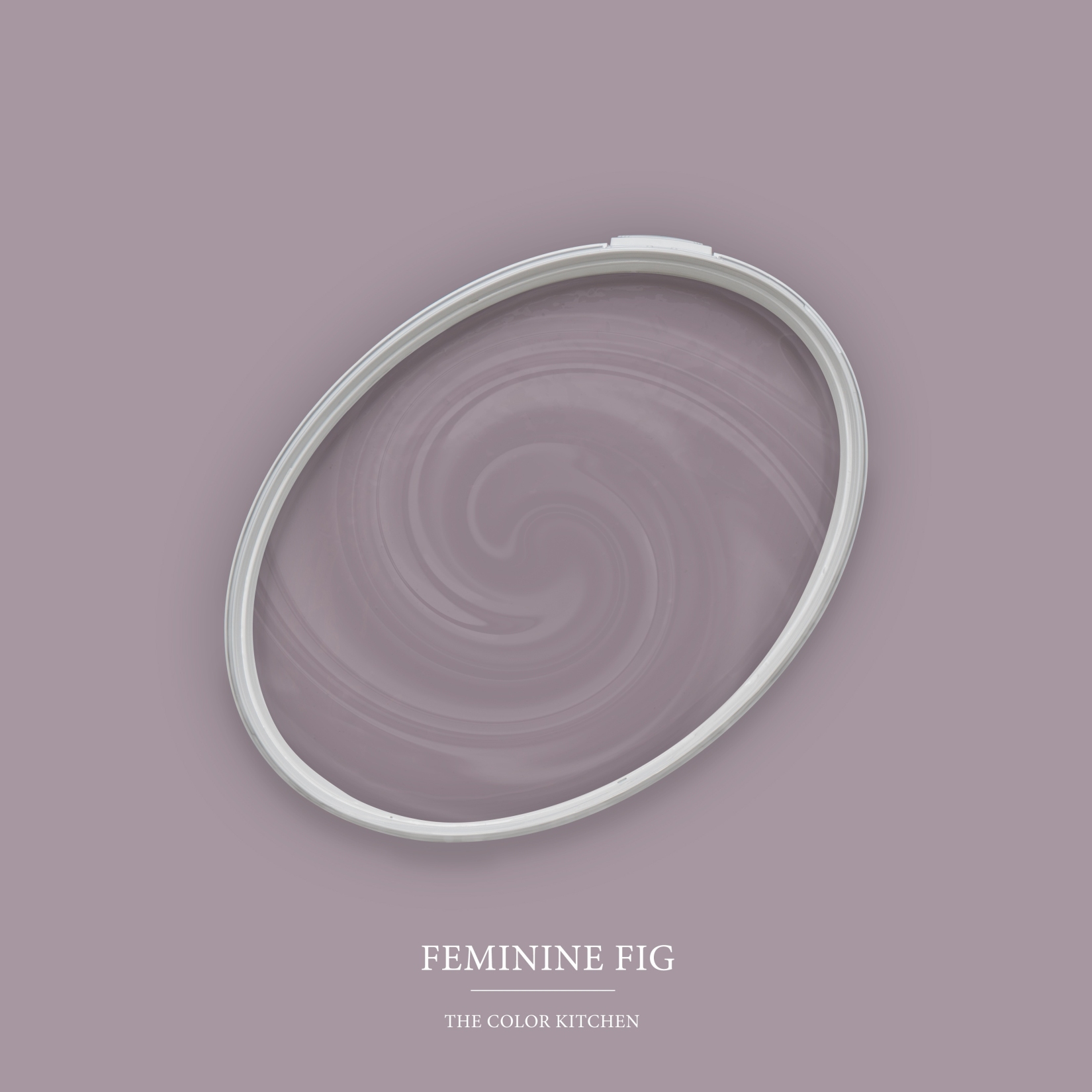 Pittura murale viola opaca The Color Kitchen Feminine Fig Pittura a emulsione per interni esclusiva, ad alta coprenza