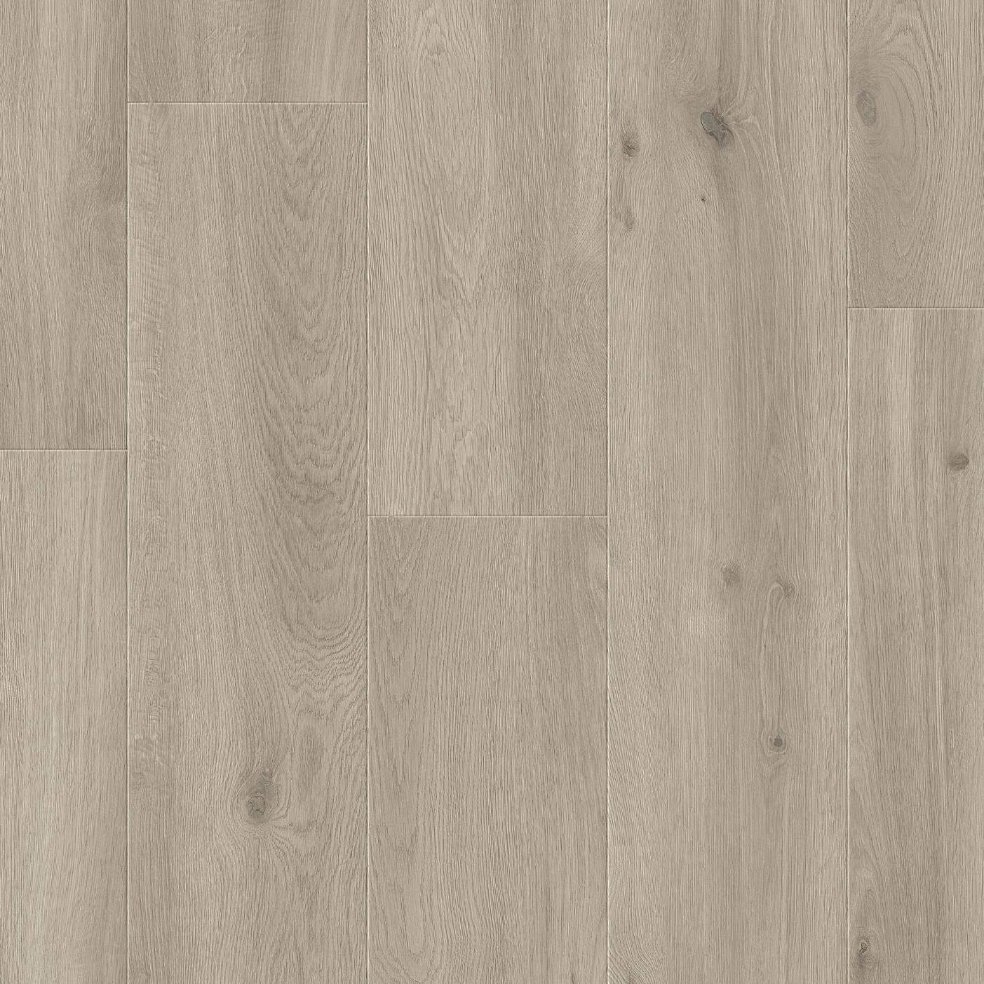 Laminato 833 XploraNEXT Wide Timeless 8886 1261 x 244 x 78 mm Effetto legno Rovere Grigio NKL33