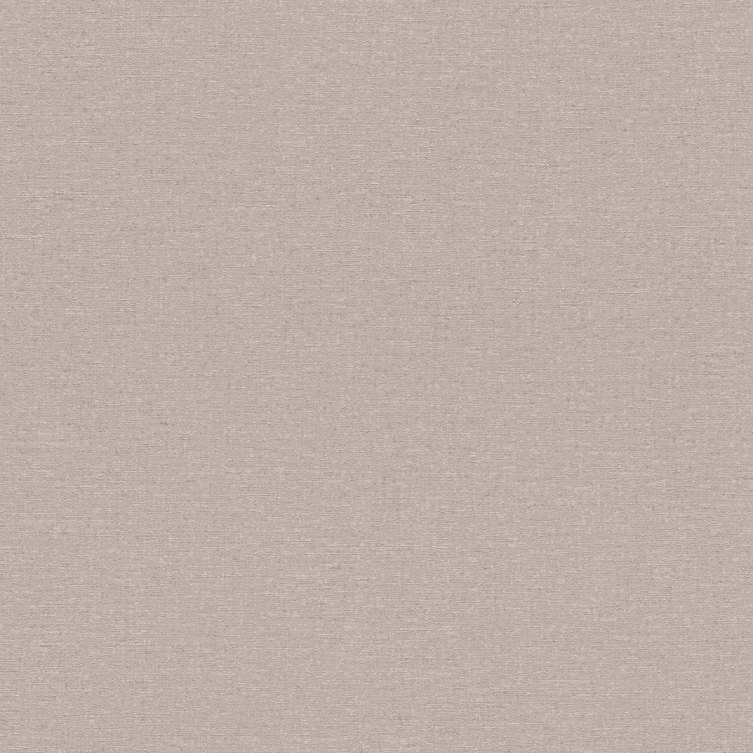 Rasch Best of Florentine 452020 Carta da parati in tessuto non tessuto Tinta unita 0,53 x 10,05 m Grigio