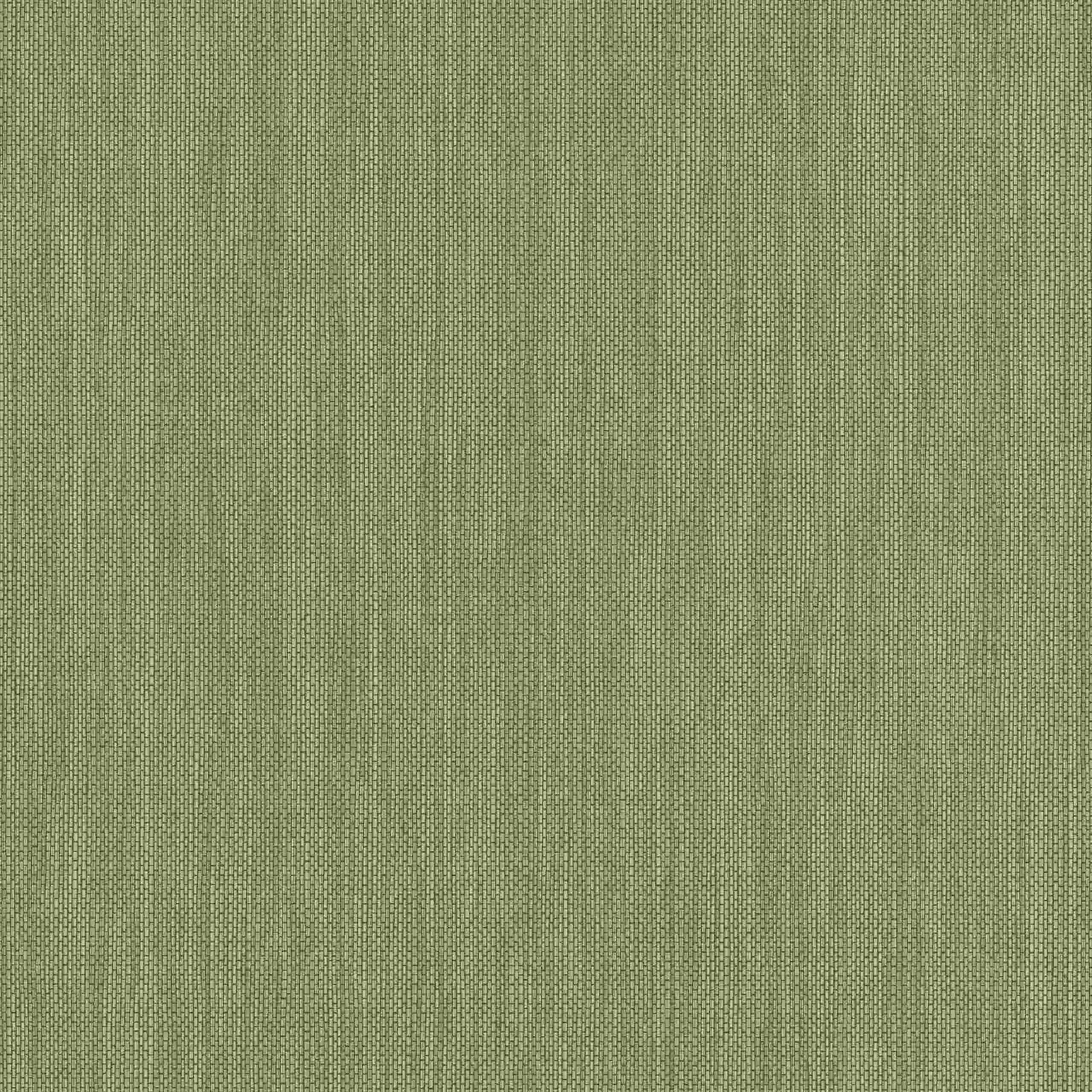 Erismann Paradise 2 630936 Carta da parati in tessuto non tessuto Tinta unita University 0,53 x 10,05 m Verde