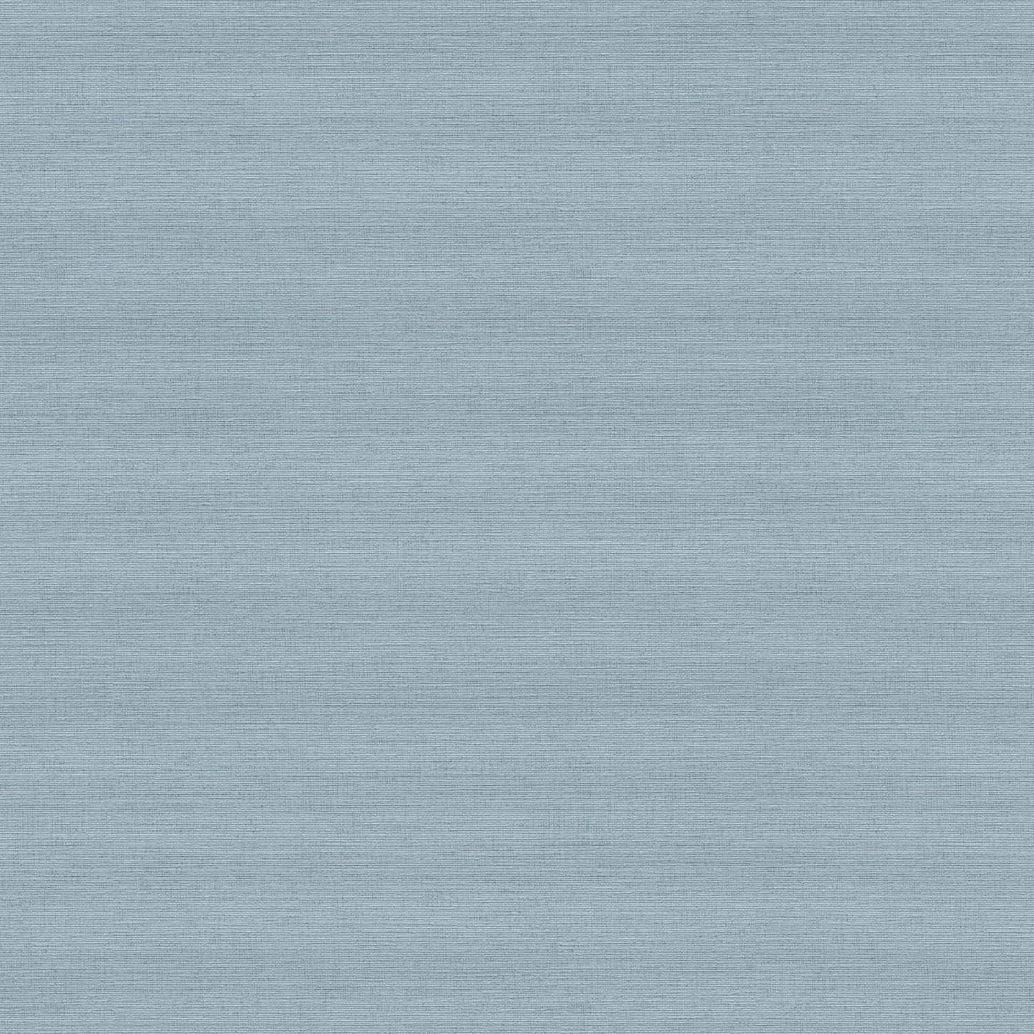 Carta da parati non tessuta 306887 Blue Plain Plain PintWalls II A.S. Creation