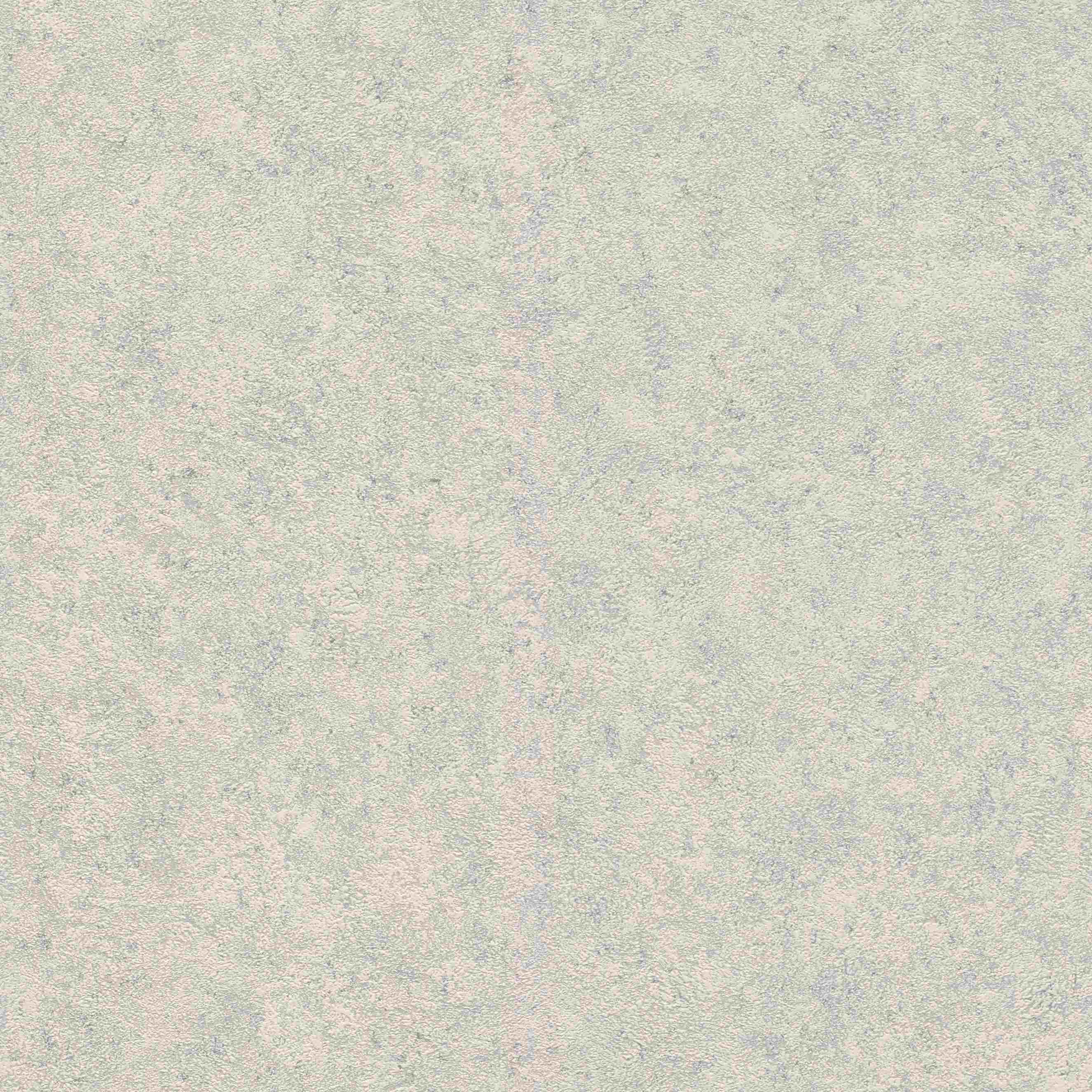 Rasch Andy Wand 649321 Carta da parati in tessuto non tessuto Tinta unita Tinta unita 0,53 x 10,05 m Grigio