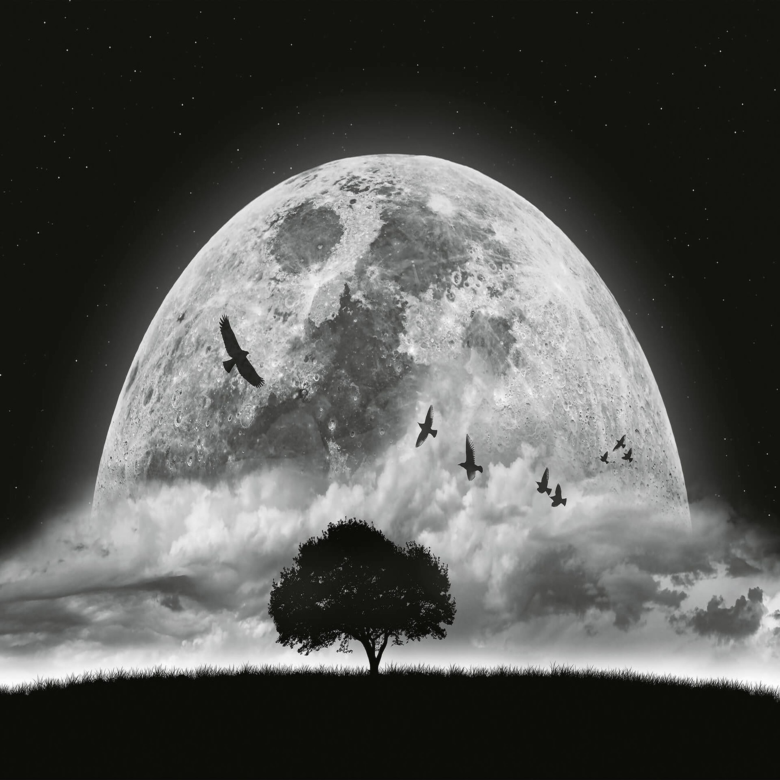 A.S. Creation Designwalls 2.0 DD119044 Carta da parati fotografica Tessuto non tessuto 384 x 260 cm Paesaggio