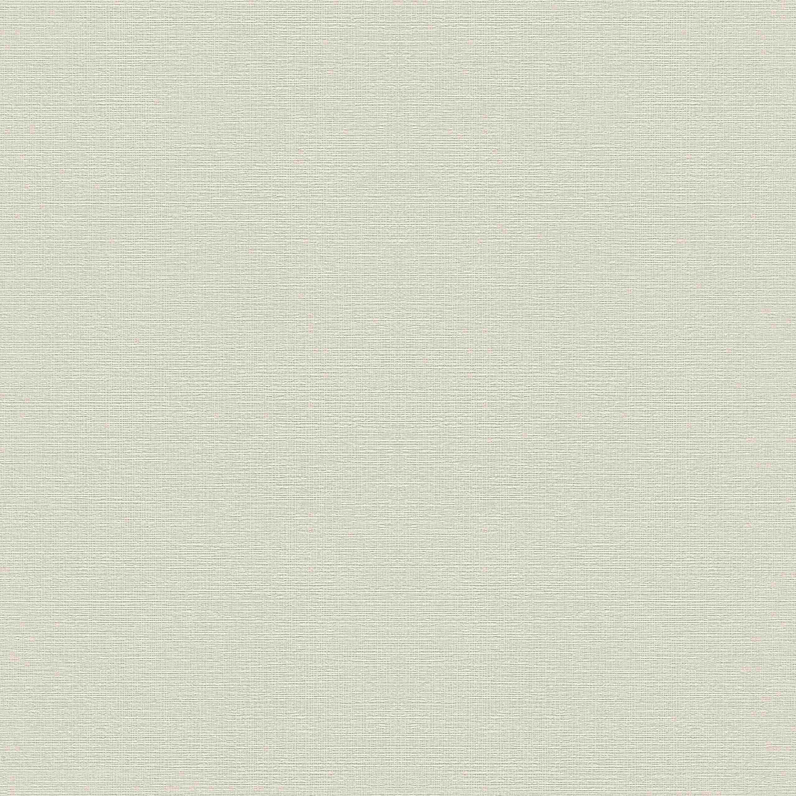 Rasch Selezione 732337 Carta da parati in tessuto non tessuto Tinta unita 0,53 x 10,05 m Crema