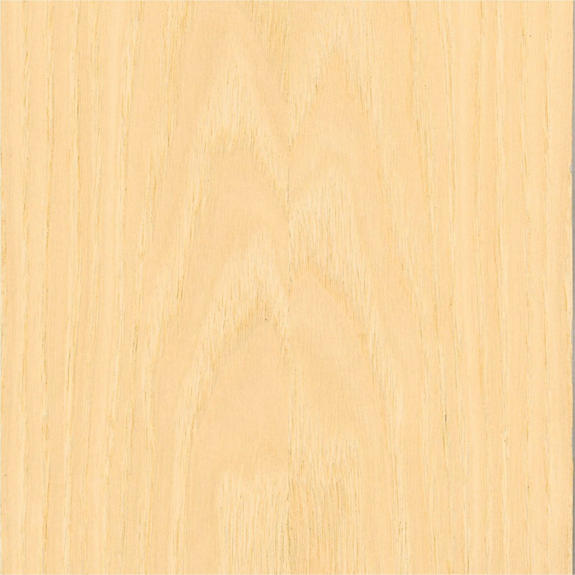 Pannelli acustici 572,5 x 19 mm Pannelli acustici da parete impiallacciati in MDF frassino varie lunghezze Neuhofer