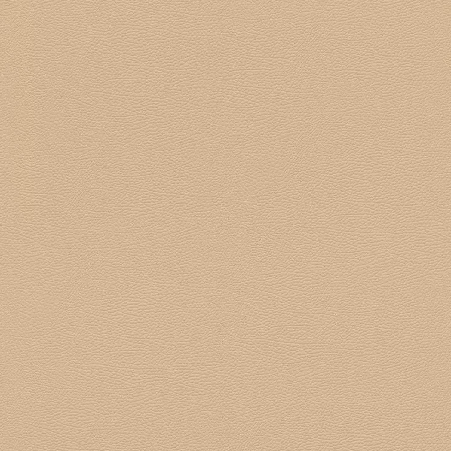 Rasch African Queen III 752694 Carta da parati in tessuto non tessuto Tinta unita 0,53 x 10,05 m Beige