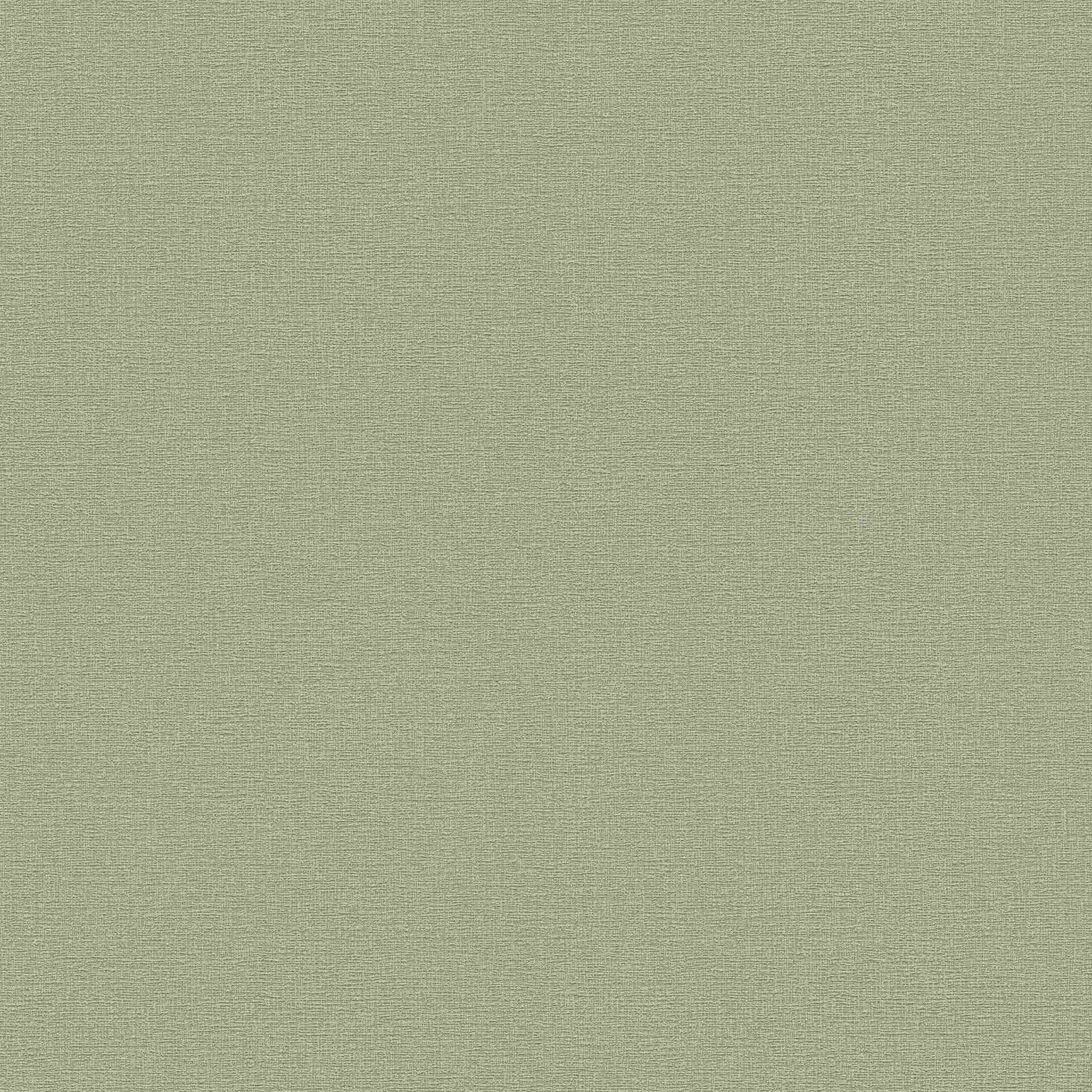 A.S. Creation Flavor 367137 Carta da parati in tessuto non tessuto Tinta unita University 0,53 x 10,05 m Verde