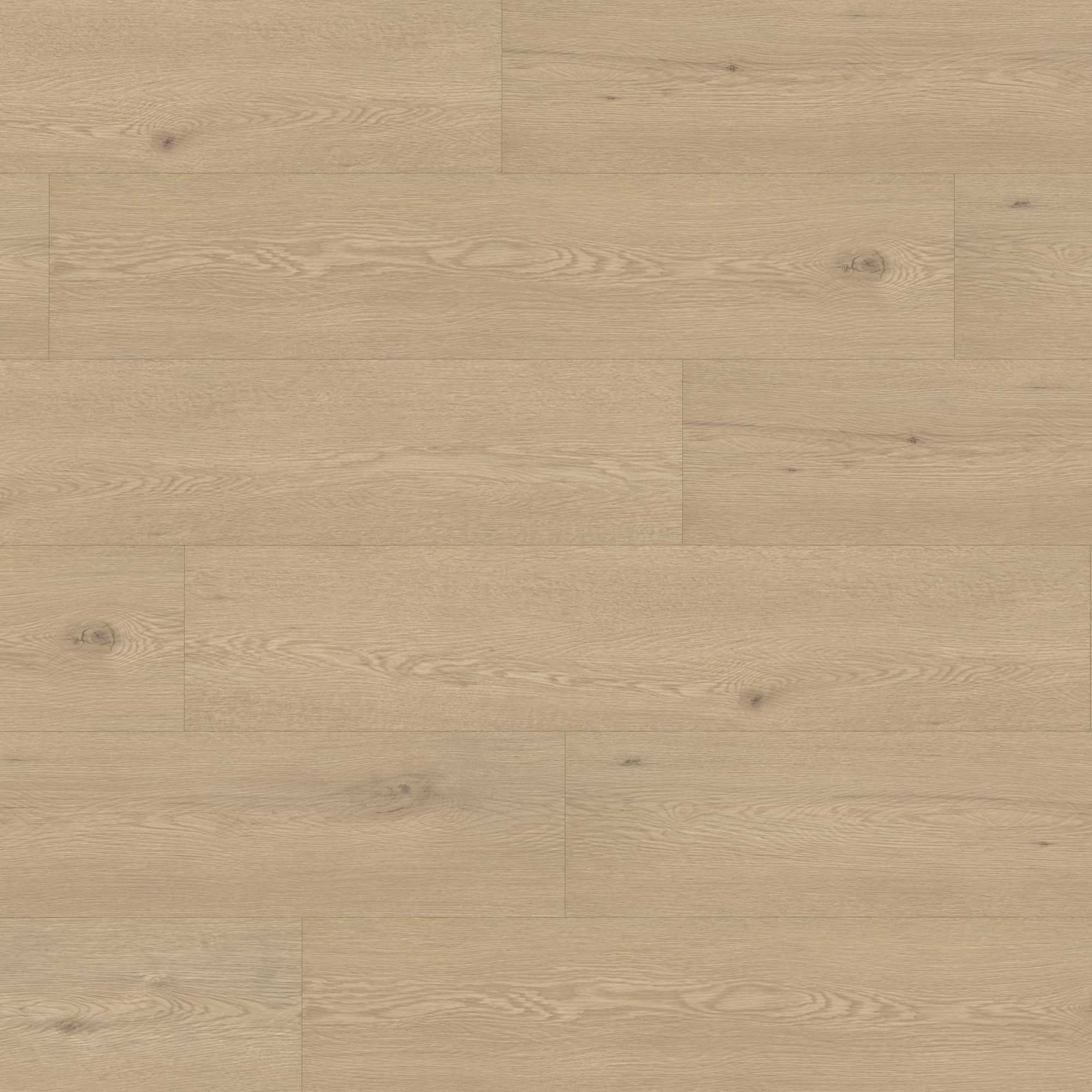 Pavimento in vinile rigido, pavimento di design, 5,2/0,3x228x1220 mm, vinile a incastro, effetto legno, rovere marrone chiaro, NKL23/33