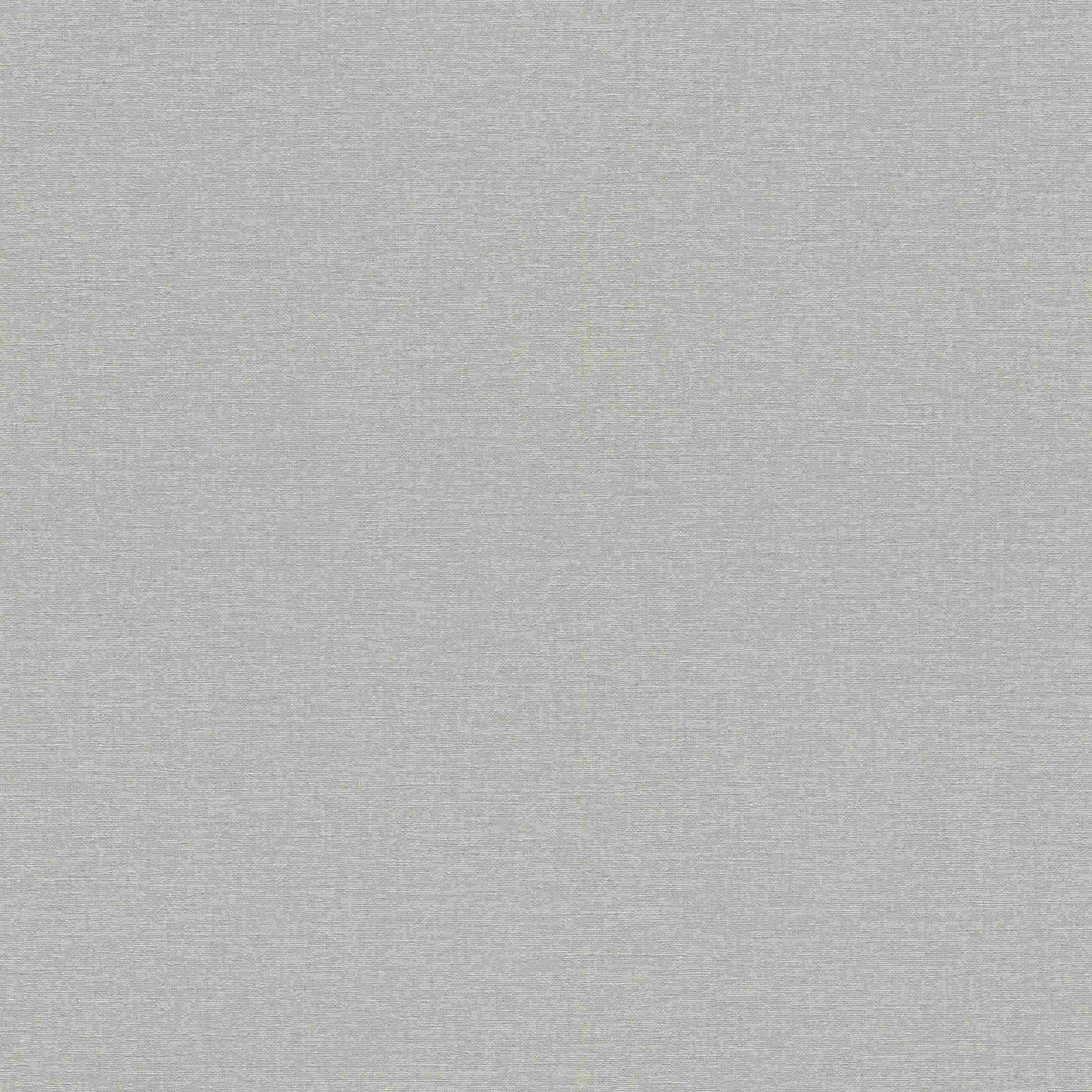 Rasch Best of Florentine 452051 Carta da parati in tessuto non tessuto Tinta unita 0,53 x 10,05 m Grigio