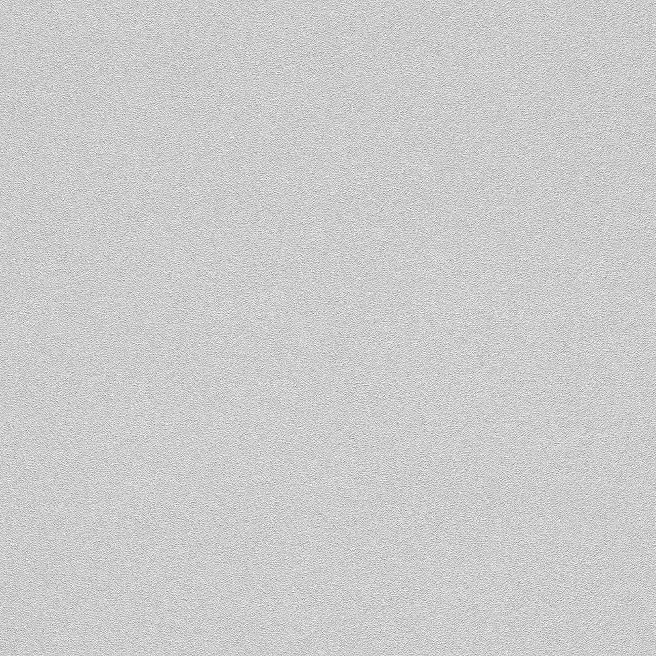 Rasch Wall Textures Vol. IV 479447 Carta da parati in tessuto non tessuto Tinta unita 0,53 x 10,05 m Grigio