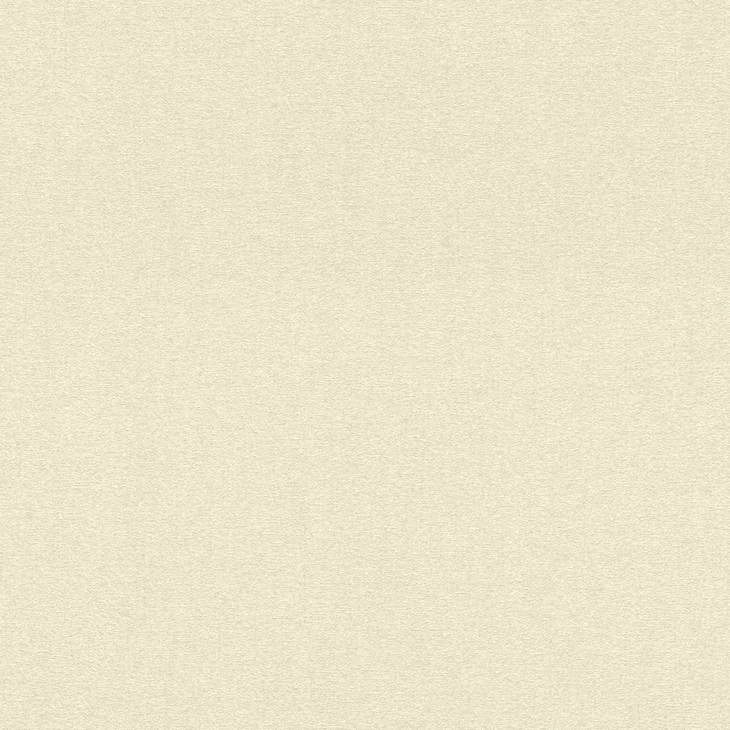 Rasch Uptown 402322 Carta da parati in tessuto non tessuto Tinta unita 0,53 x 10,05 m Beige