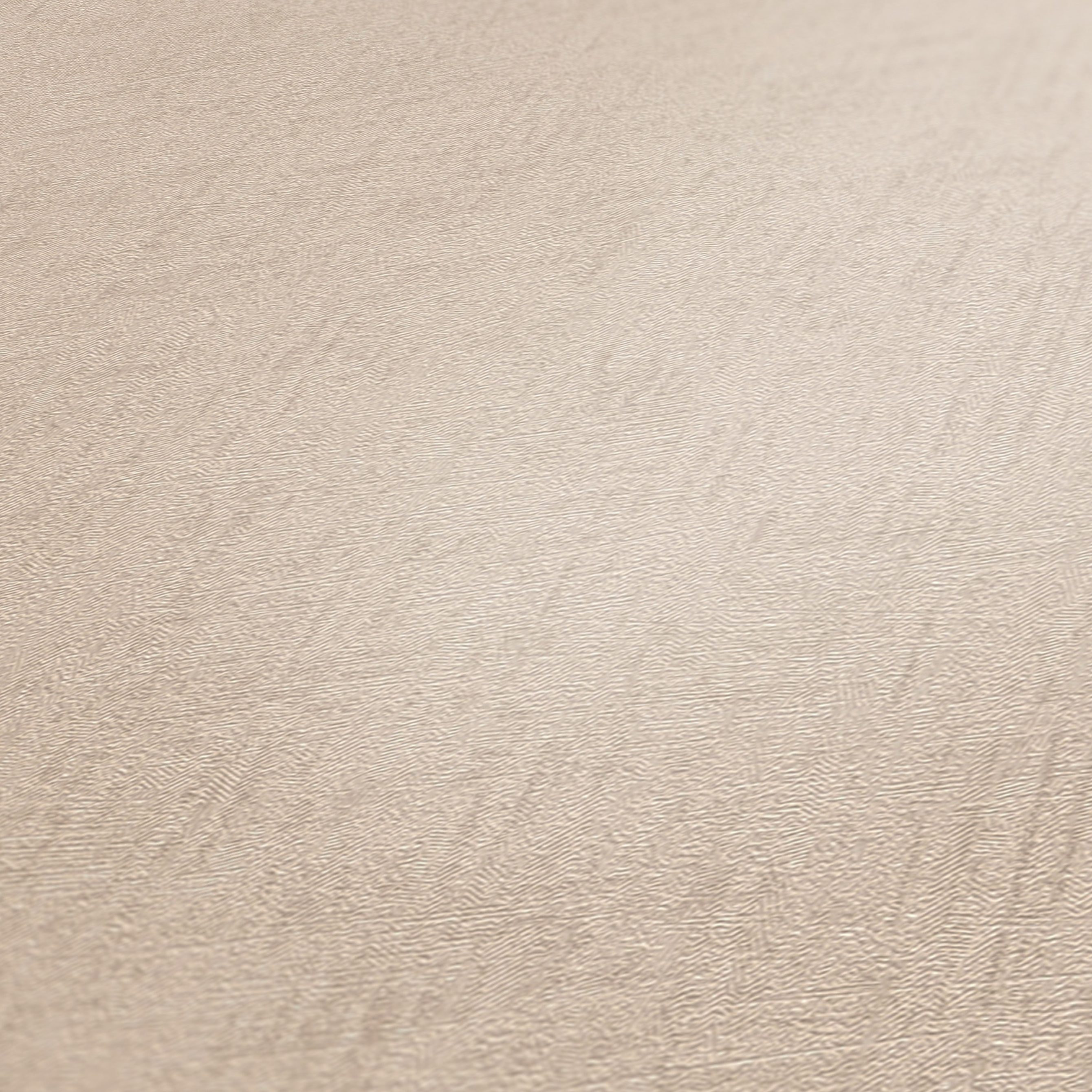 A.S. Creation | Titanium 3     | Beige | 381978