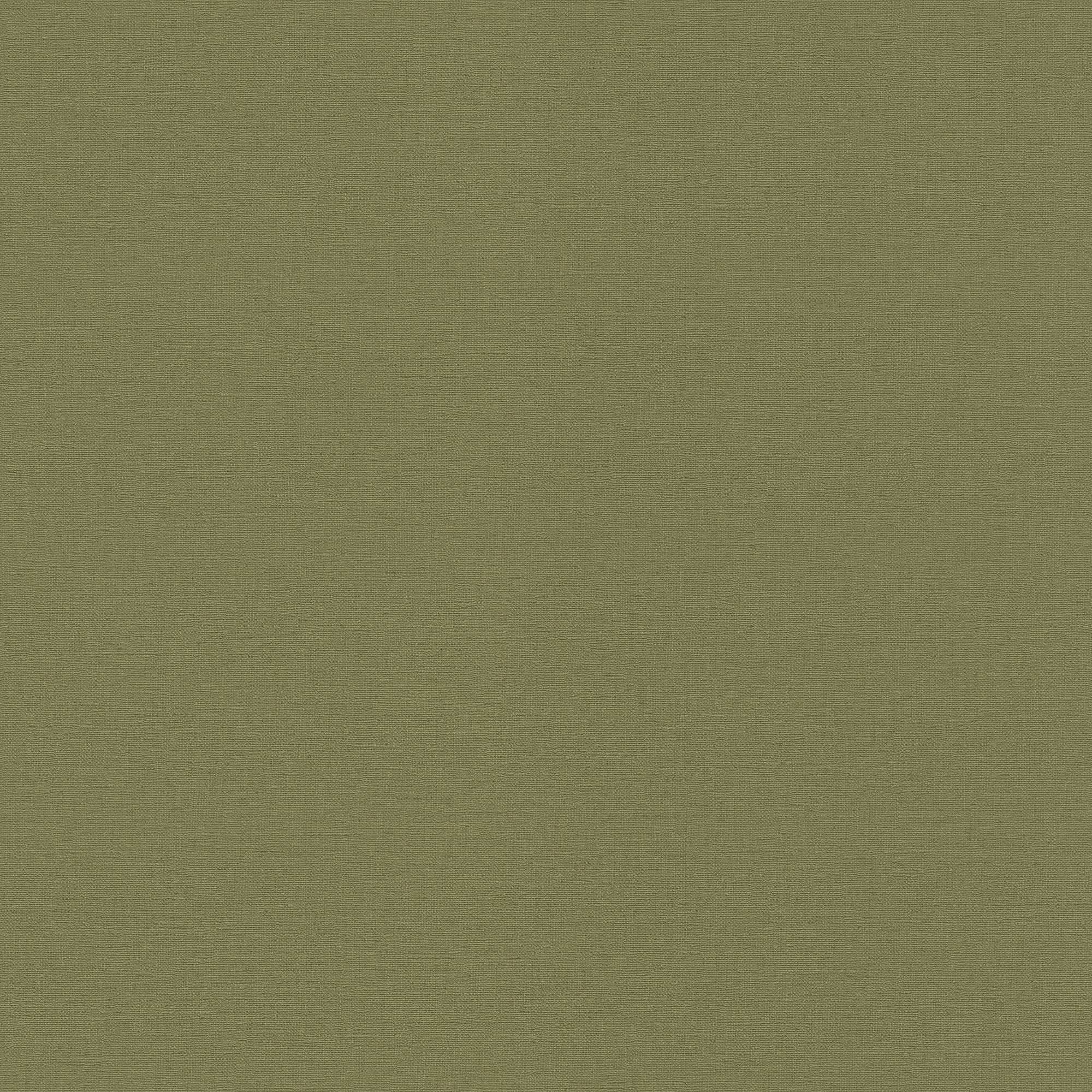 Carta da parati non tessuta 452068 Verde Tinta Unita Country Charm Rasch
