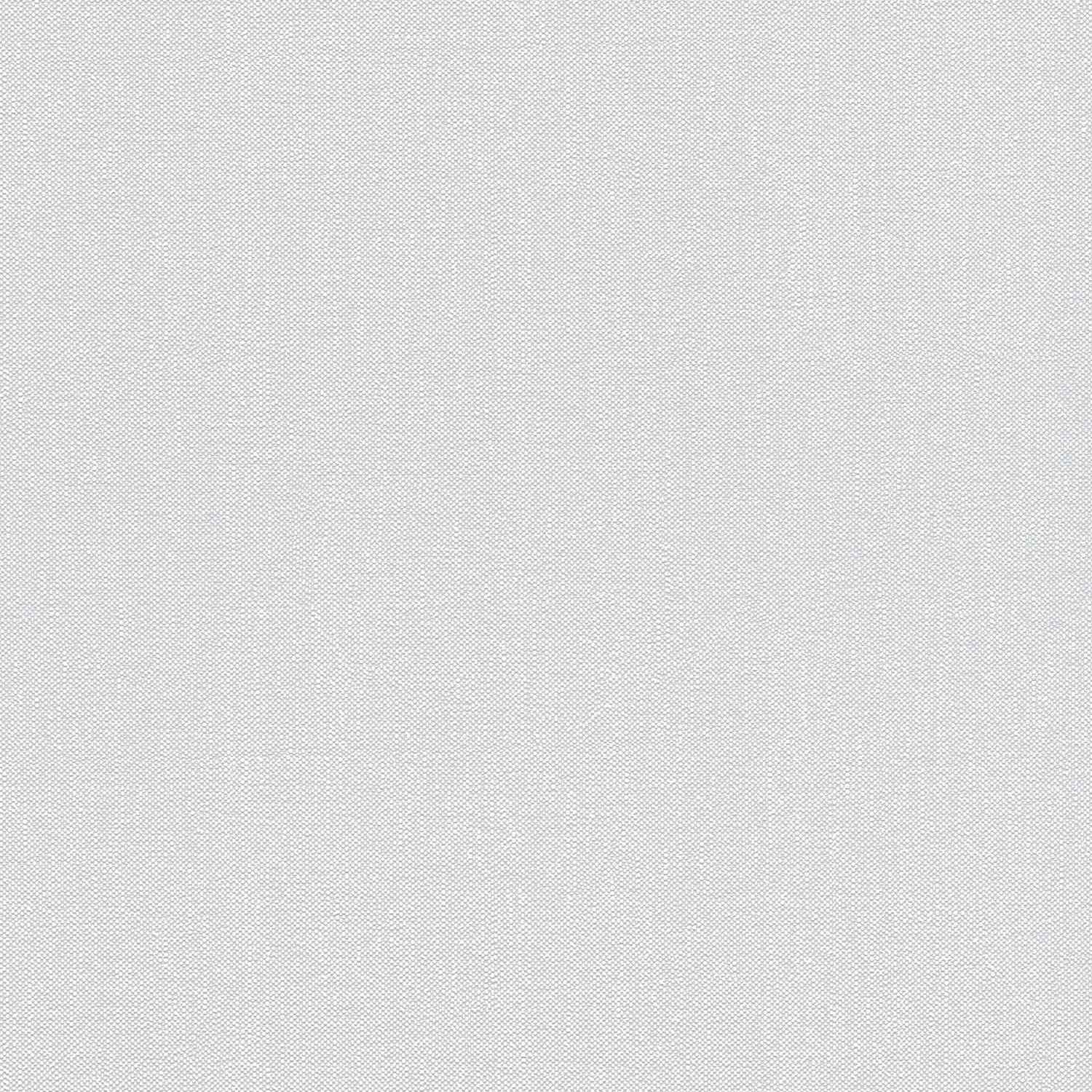 A.S. Creation Terra 297327 Carta da parati in tessuto non tessuto Tinta unita 10,05 x 0,53 m Grigio