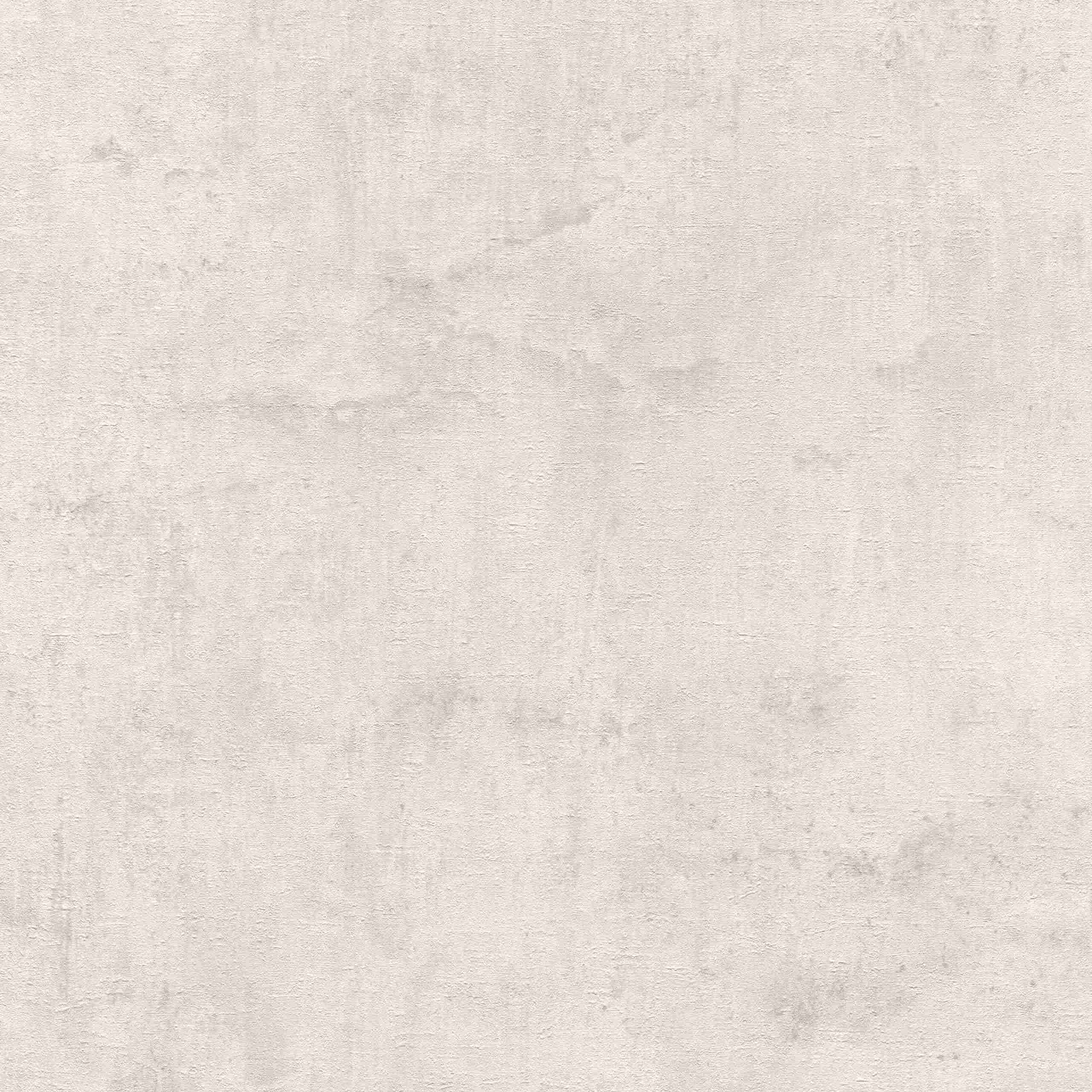 Rasch Our Best 2022 407358 Carta da parati in tessuto non tessuto con motivo floreale 0,53 m x 10,05 m Bianco