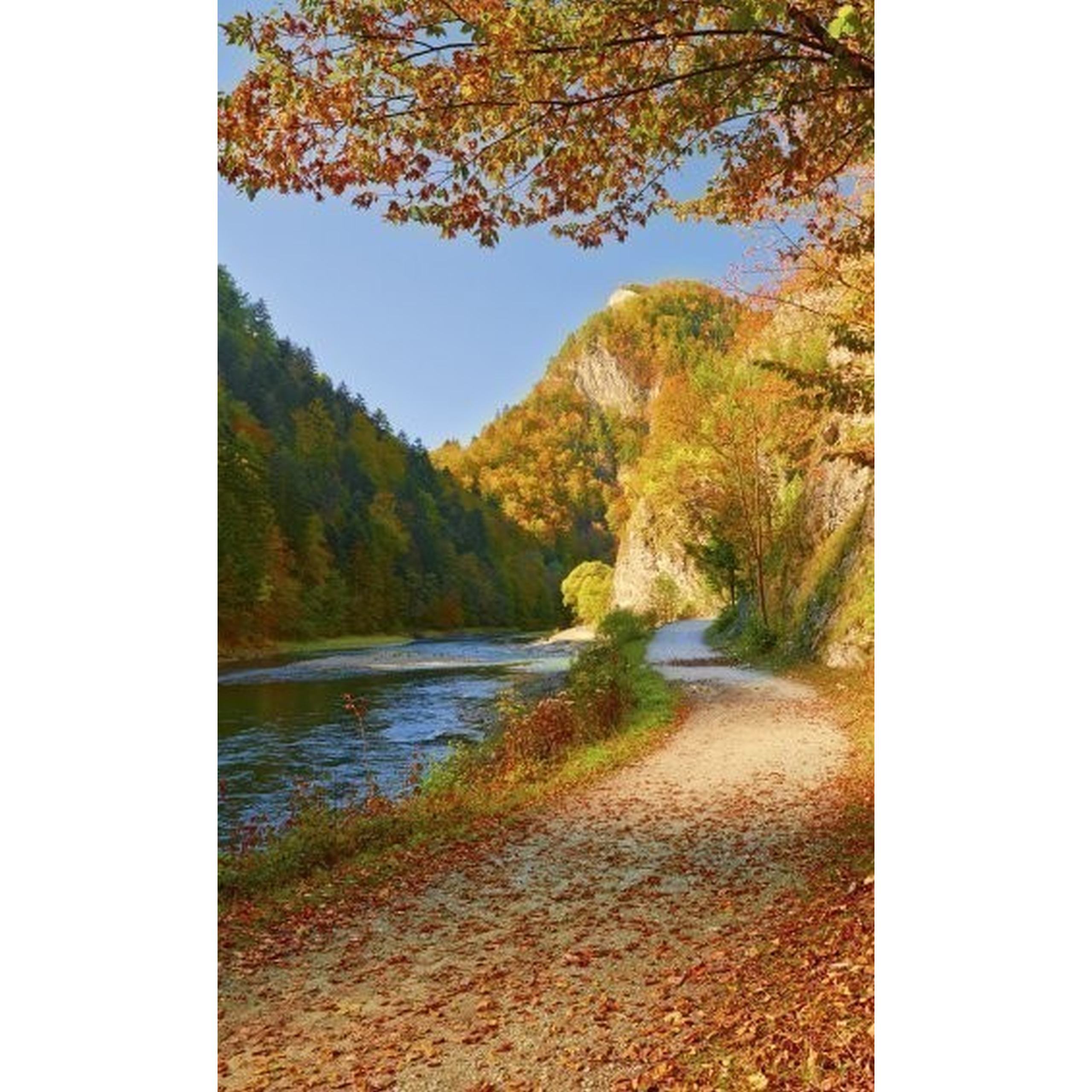 Dimex Linea Dimex MS-2-0069 Carta da parati fotografica Tessuto non tessuto Varie dimensioni Foresta e piante Arancione