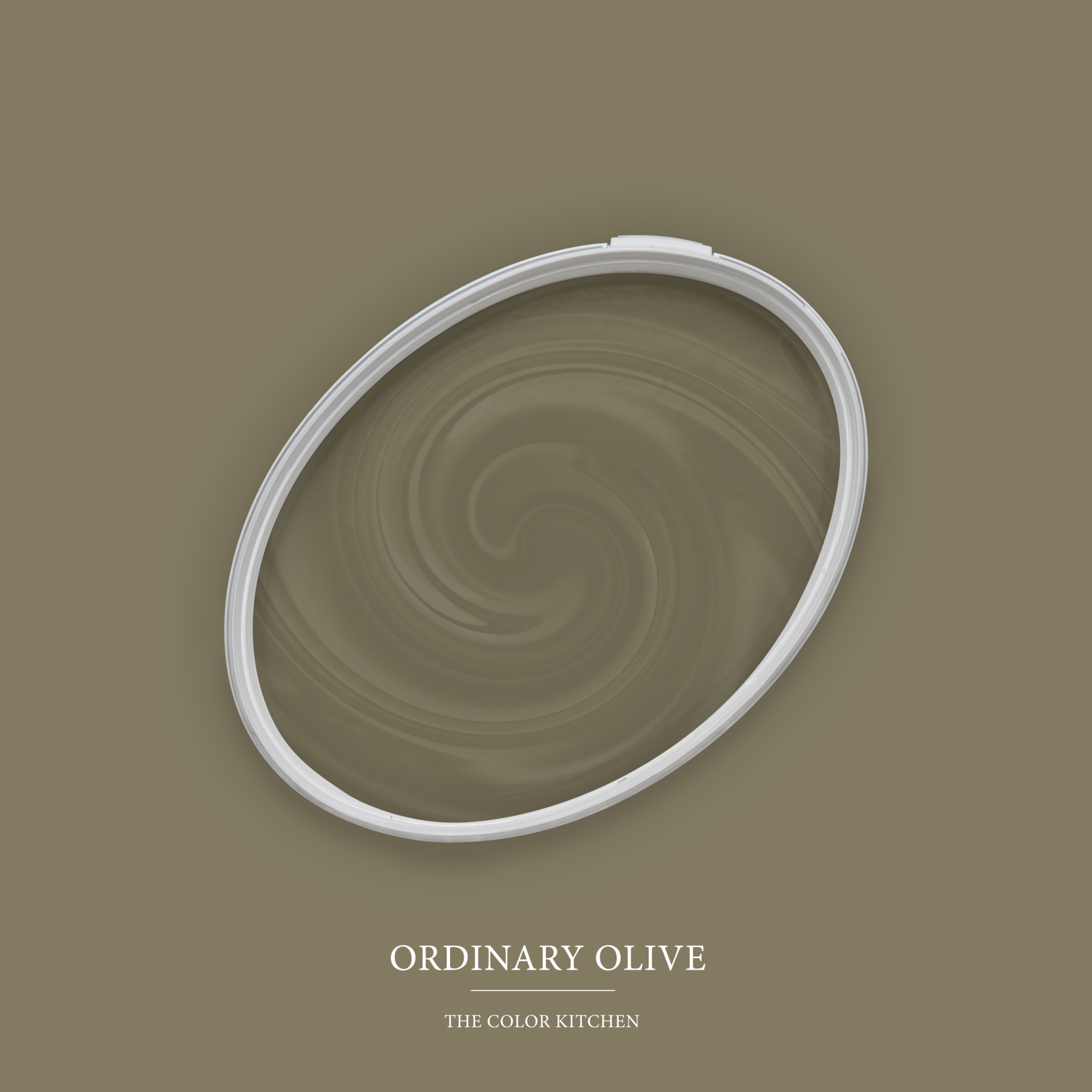 Pittura murale verde opaco The Color Kitchen Ordinary Olive Pittura per interni esclusiva, ad alta coprenza