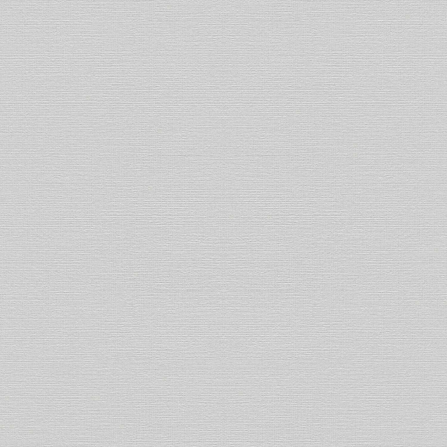 Rasch Color Your Life 732344 Carta da parati in tessuto non tessuto Tinta unita Tinta unita 0,53 x 10,05 m Argento Grigio