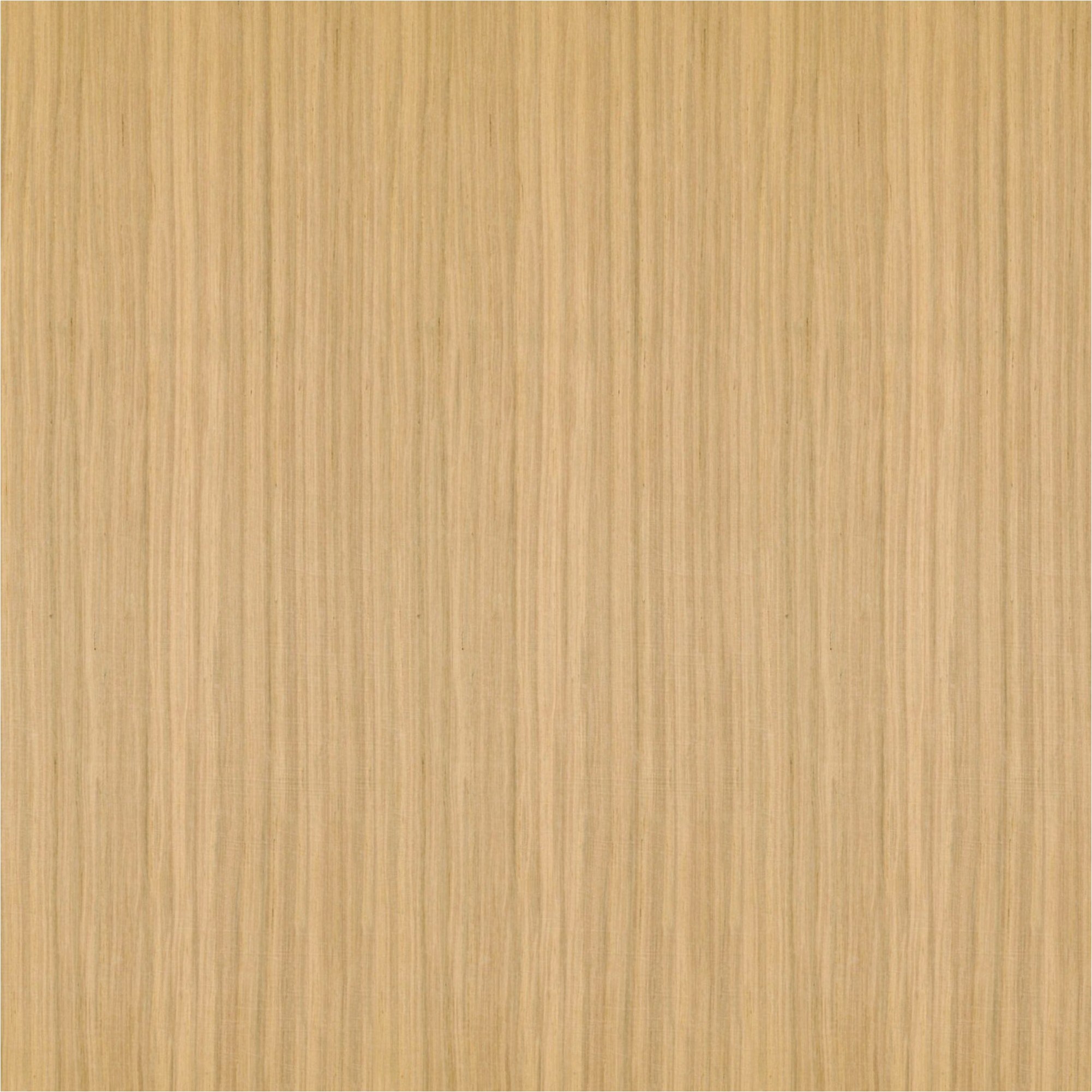 Pannelli acustici 572,5 x 19 mm Pannelli acustici da parete impiallacciati in MDF rovere naturale varie lunghezze Neuhofer