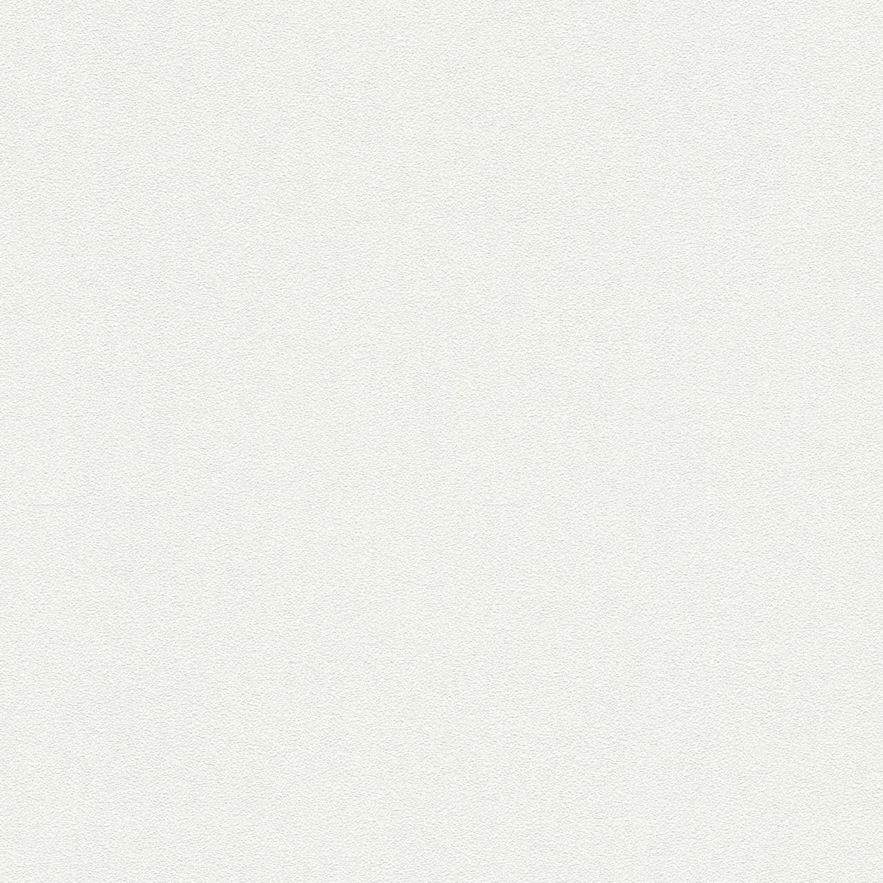 Carta da parati non tessuta 103819 Plaster White Master Fleece A.S. Creation