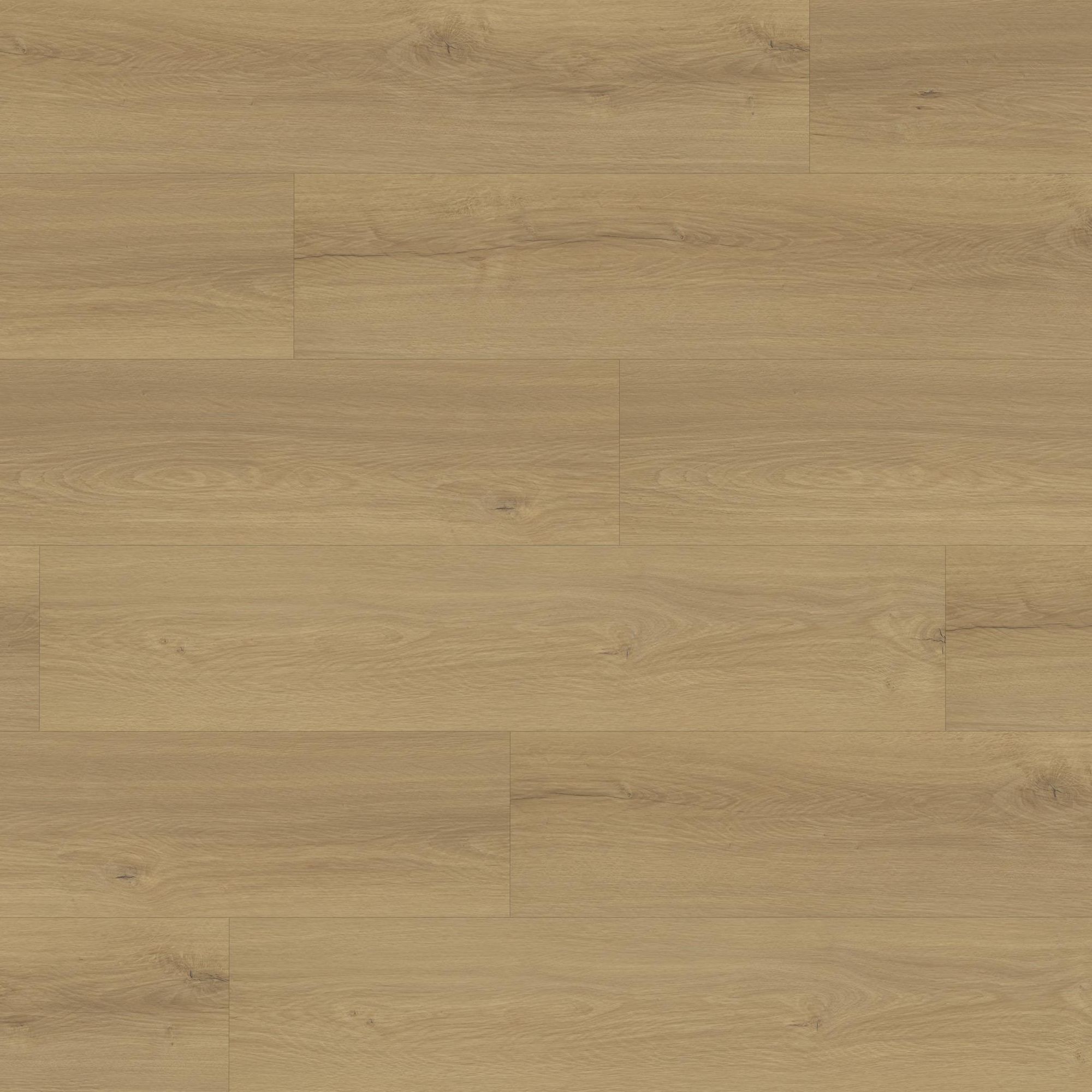 Pavimento in vinile rigido, pavimento di design, 5,2/0,3x228x1220 mm, vinile a incastro, effetto legno, rovere marrone, NKL23/33