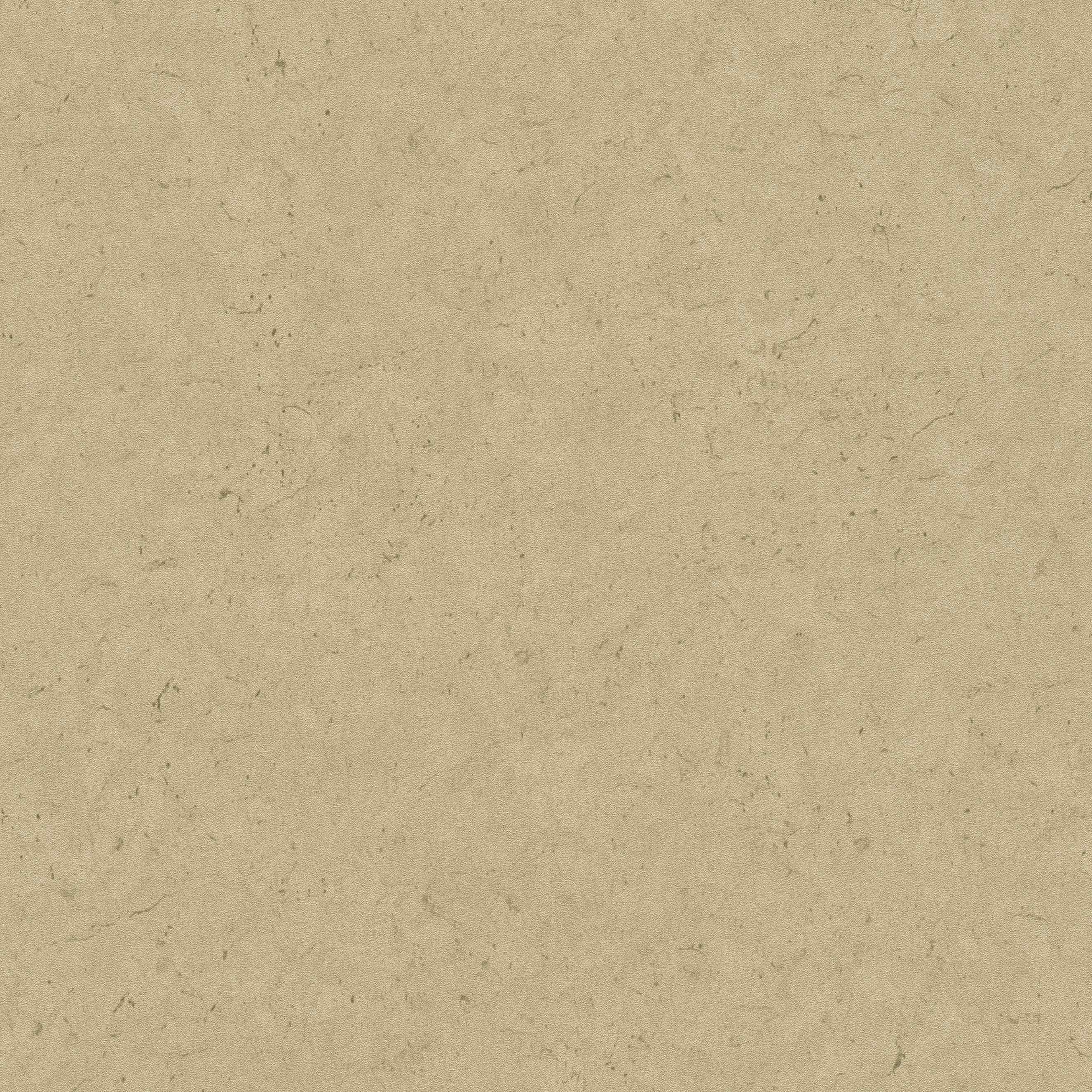 A.S. Creation Metropolitan Stories 2 378659 Carta da parati non tessuta University 0,53 x 10,05 m Metallico
