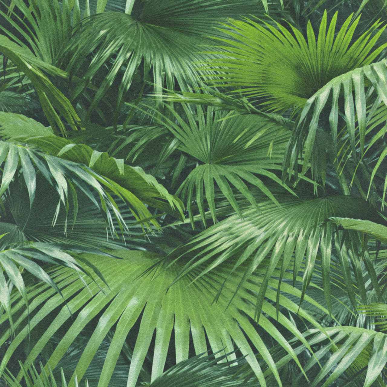 Rasch Crispy Paper 524901 Carta da parati in tessuto non tessuto Aspetto naturale 0,53 x 10,05 m Verde
