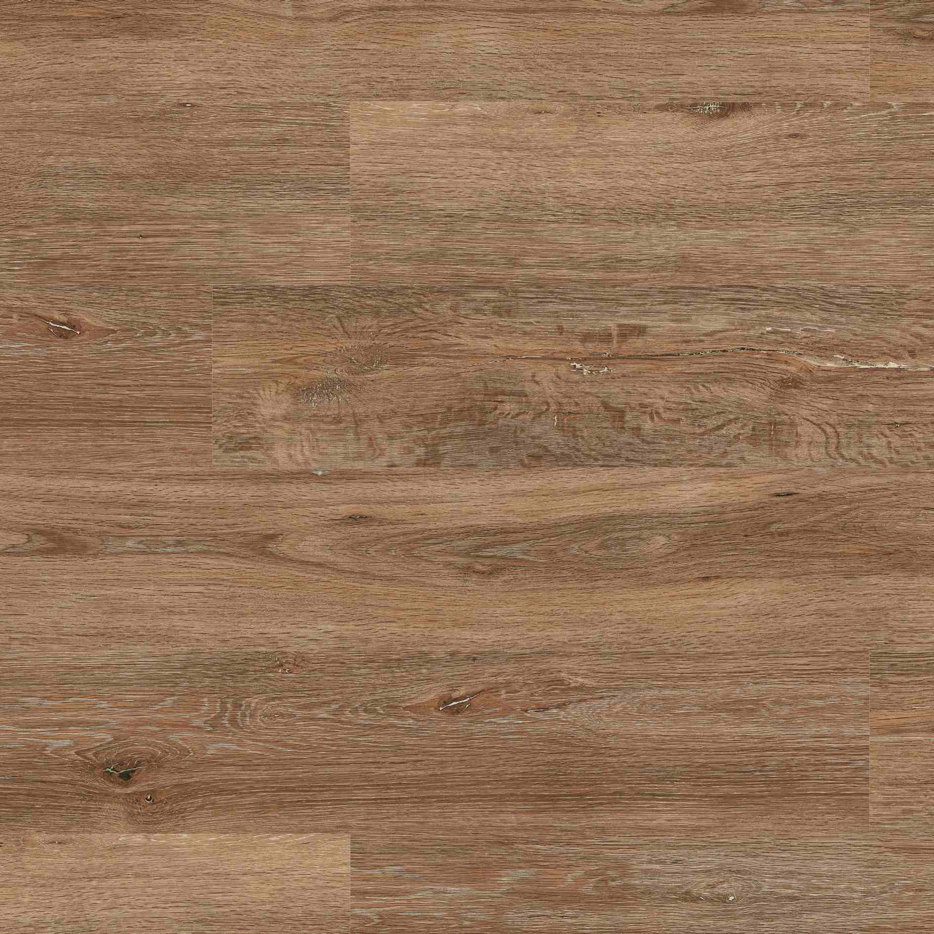 Pavimento in vinile di design ECO+ ECO 3610/30 1219 x 183 x 2,5 mm Vinile adesivo effetto legno NKL32