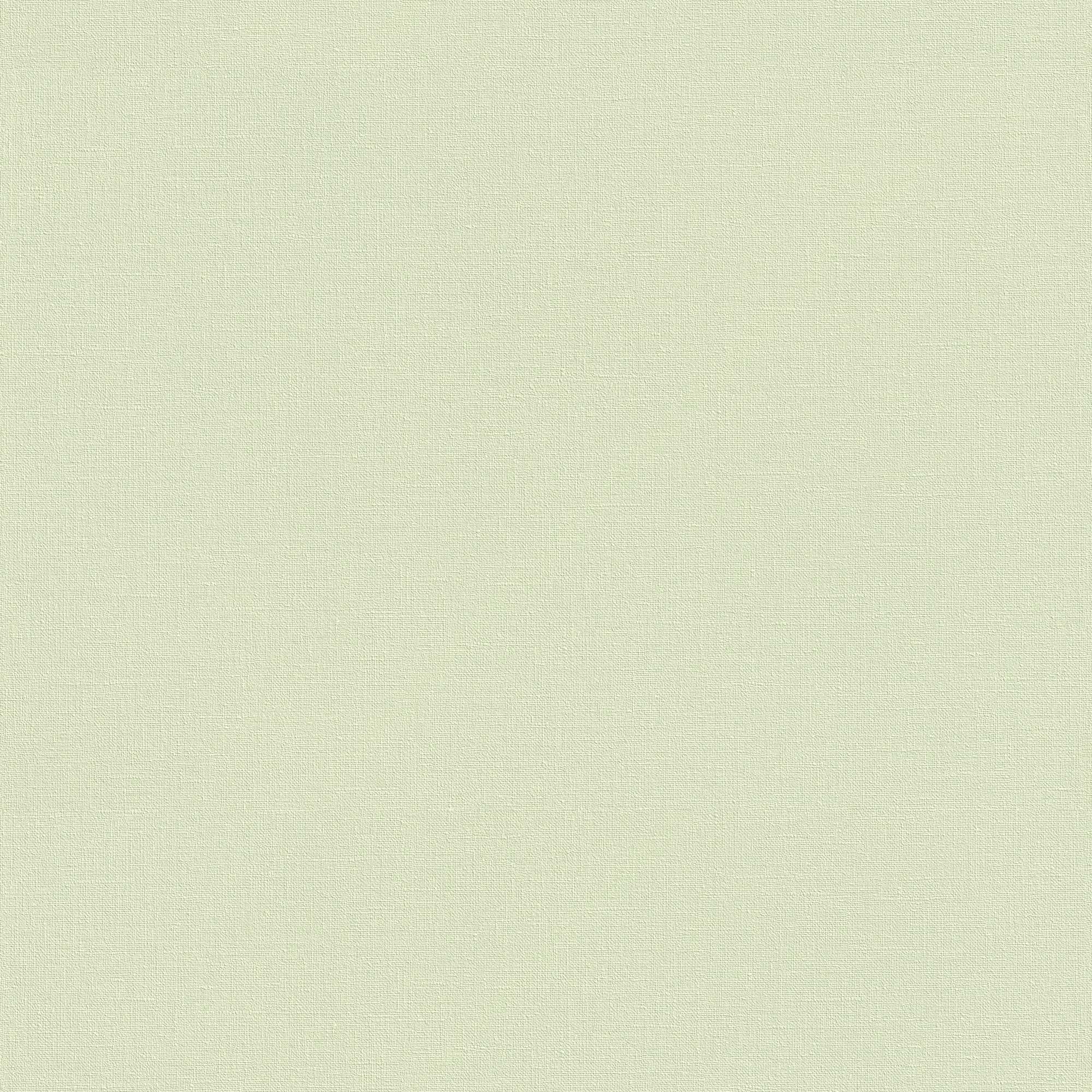 Carta da parati non tessuta 447538 Verde Tinta Unita Country Charm Rasch