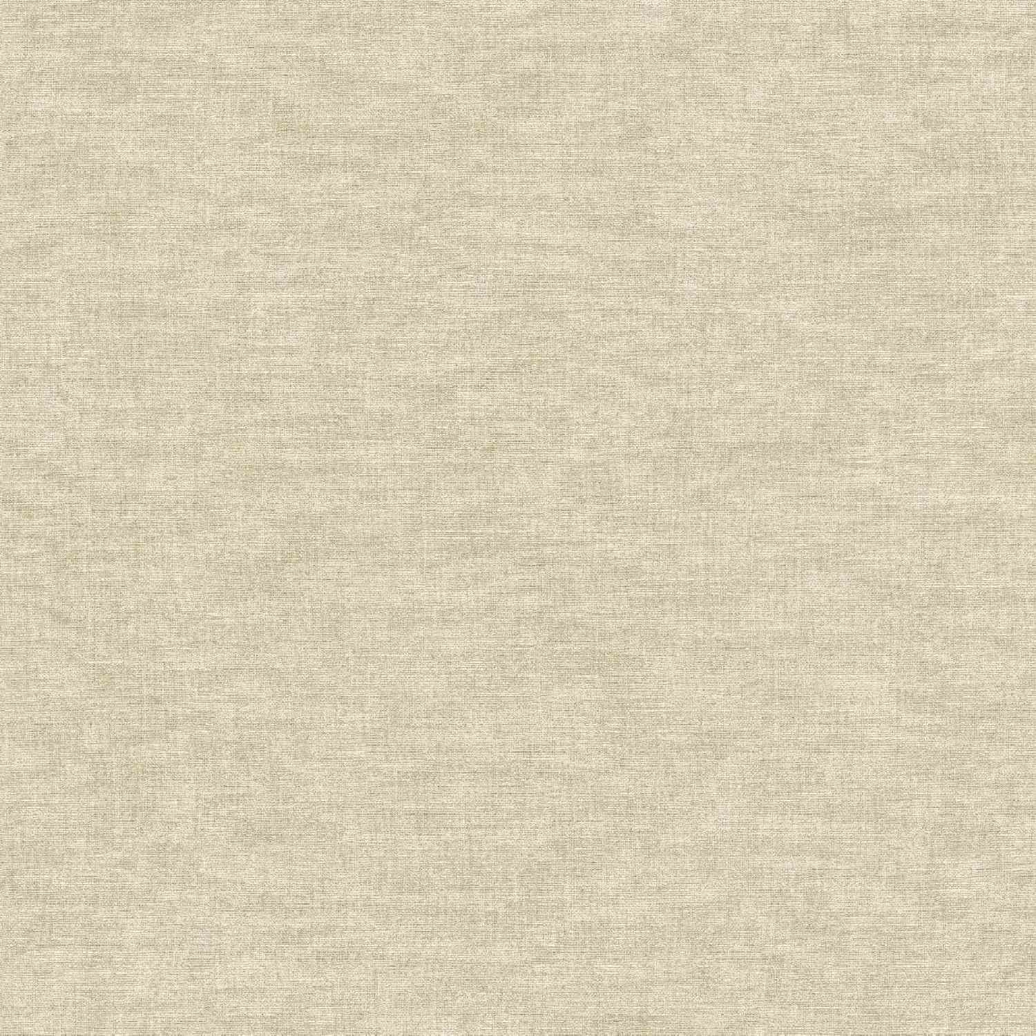 A.S. Creation Smart Surfaces 395655 Carta da parati in tessuto non tessuto University Tinta unita 0,53 x 10,05 m Grigio