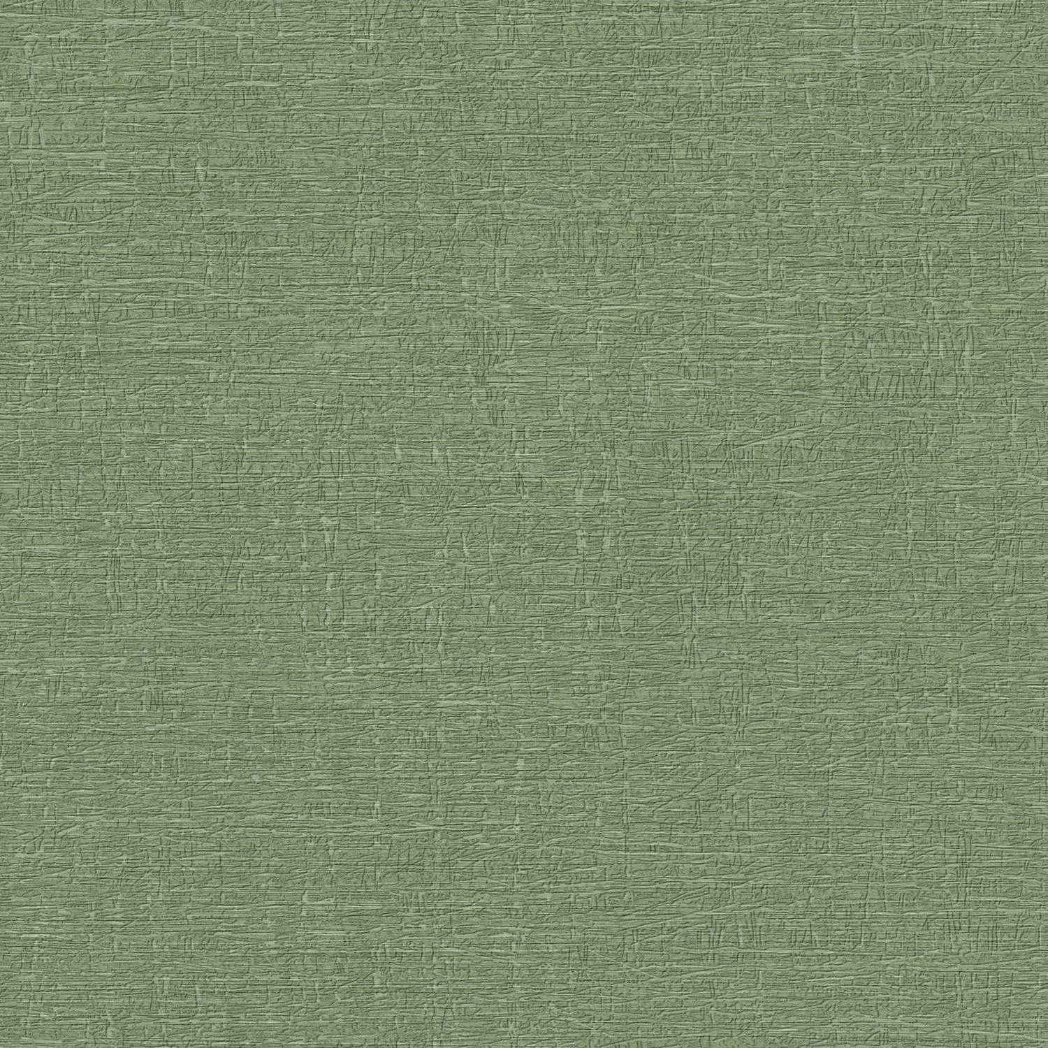 A.S. Creation Storie di vita 396481 Carta da parati in tessuto non tessuto Struttura 0,53 x 10,05 m Verde