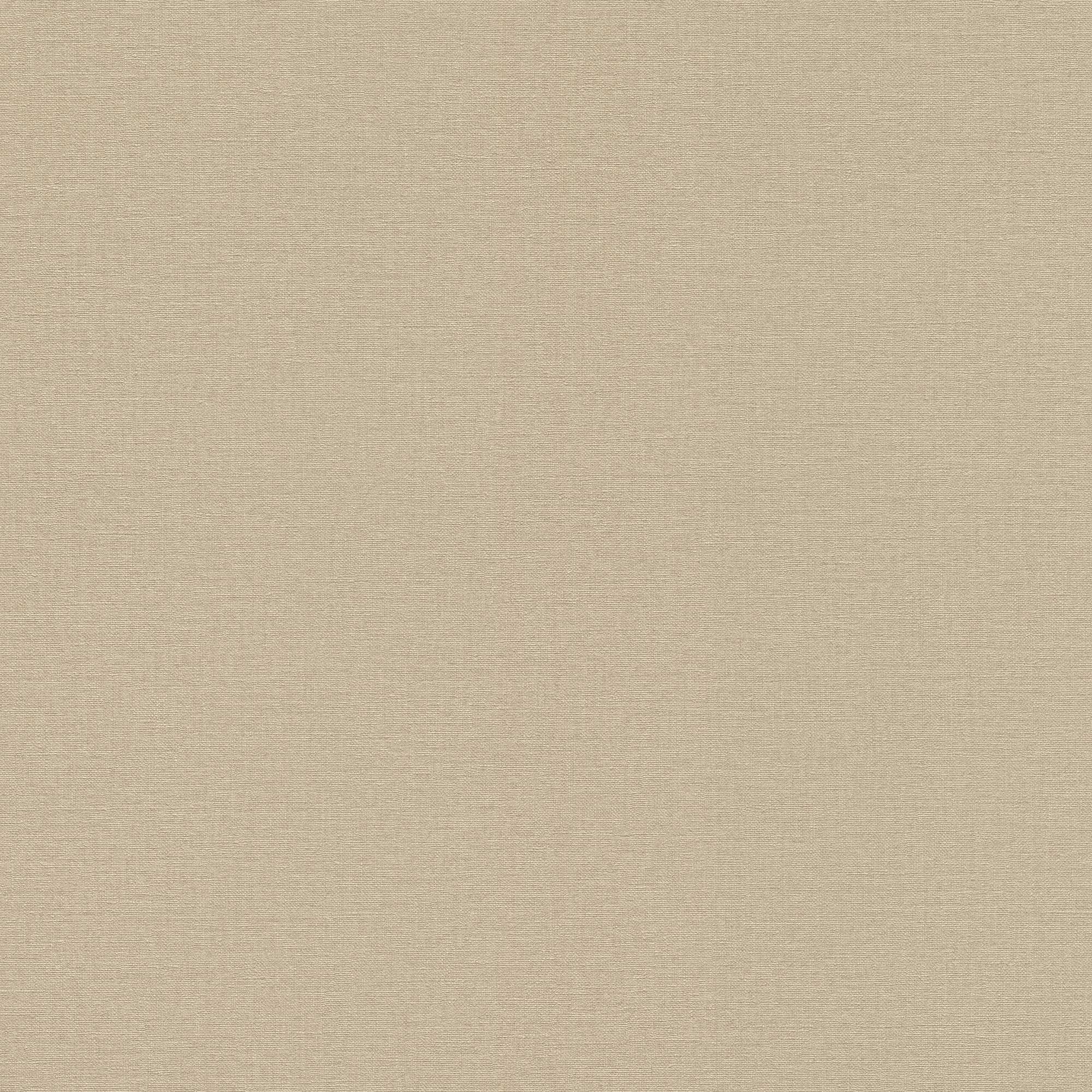 Carta da parati non tessuta 449815 Marrone Tinta Unita Country Charm Rasch